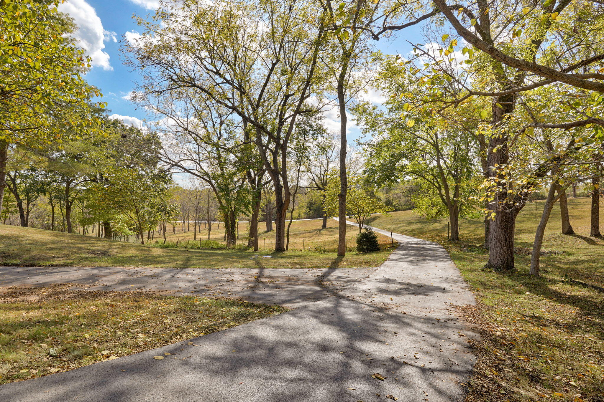 4005 West Farm Road 6 Property Photo 31