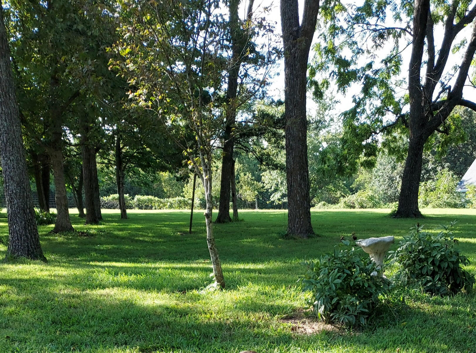 4005 West Farm Road 6 Property Photo 41