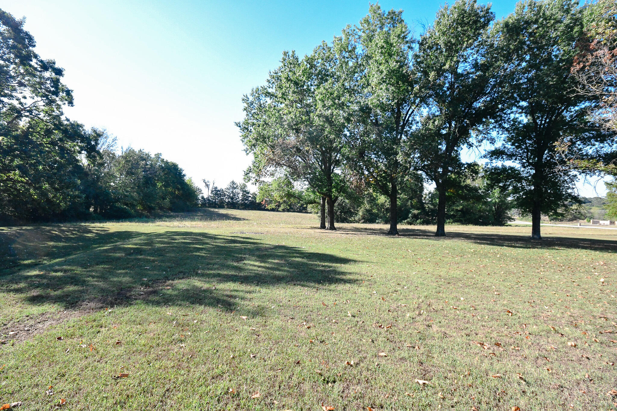 4100 State Highway D Property Photo 6