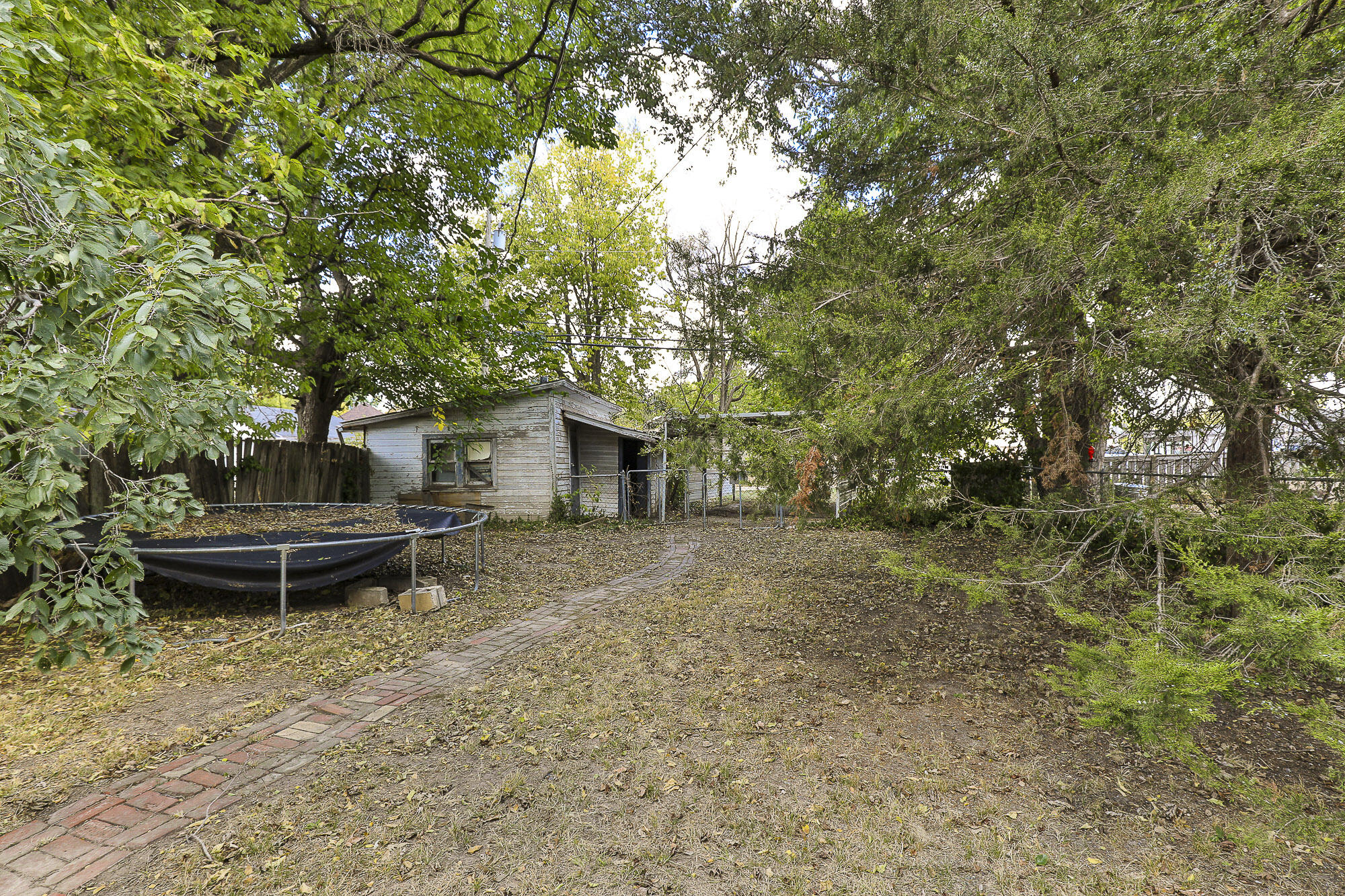 309 Jasper Street Property Photo 23