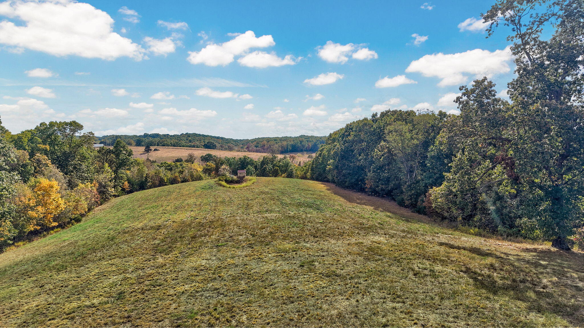 9064 State Highway V Property Photo 10