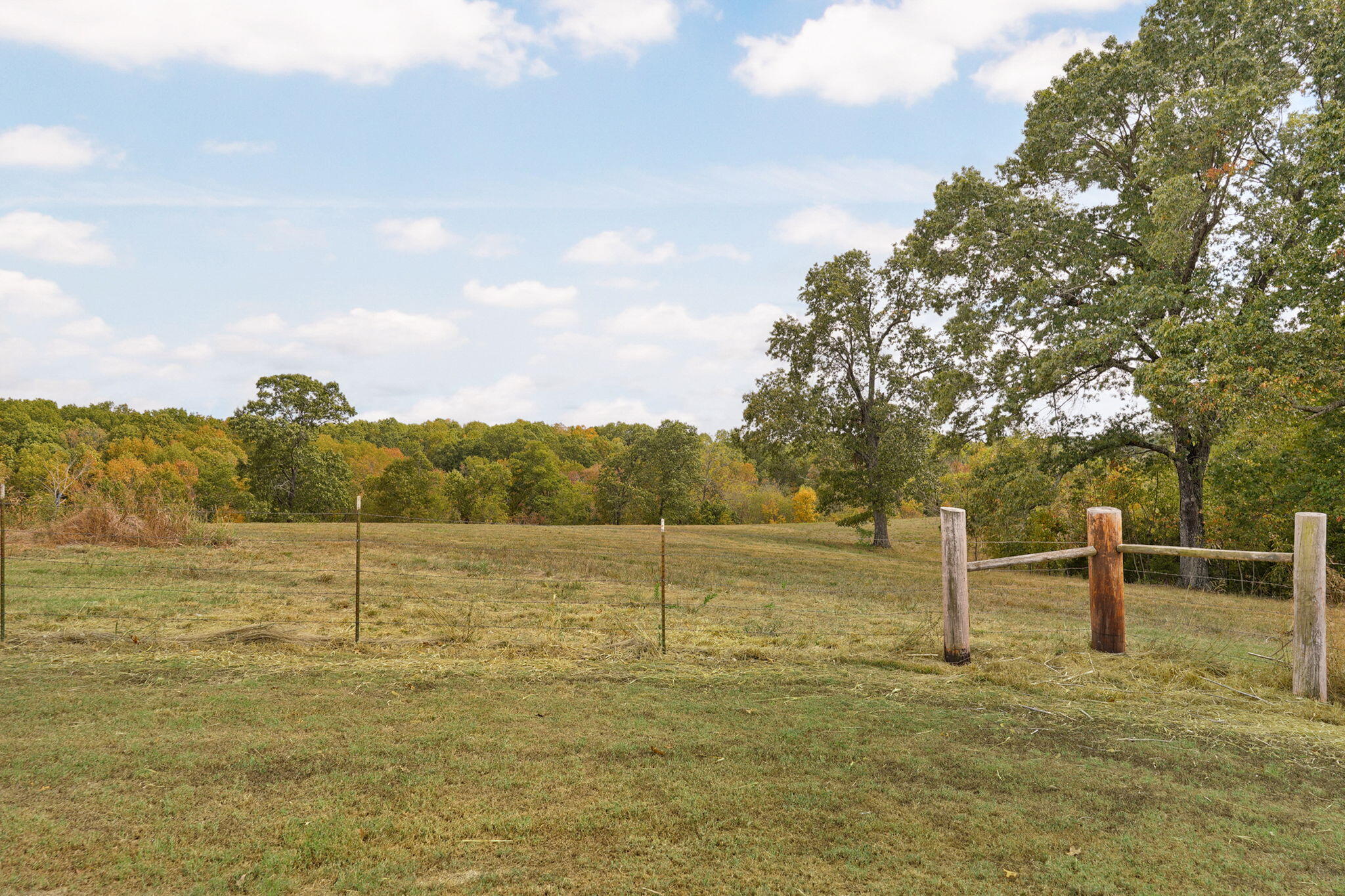 9064 State Highway V Property Photo 27