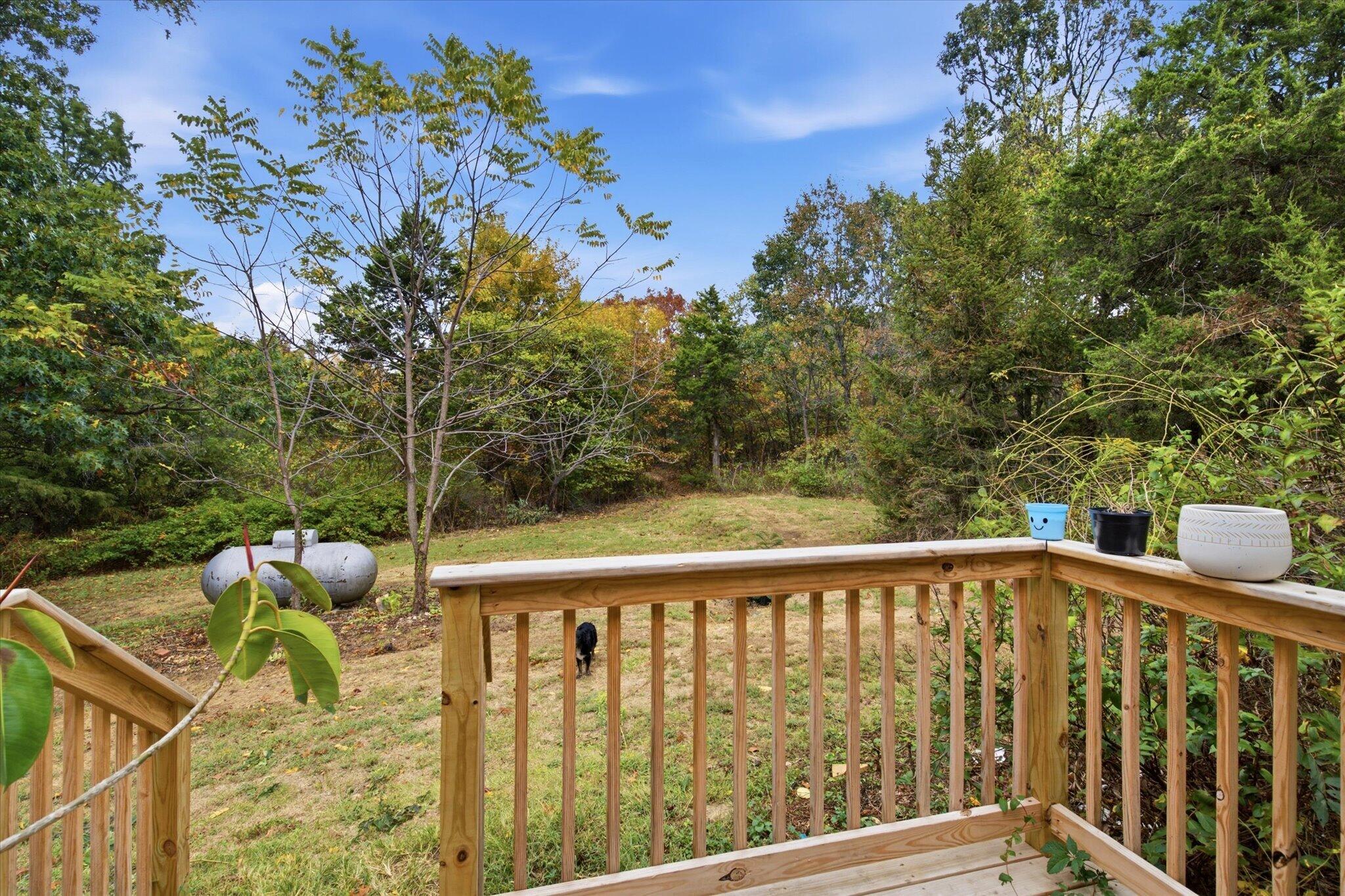 403 Bright Star Lane Property Photo 33