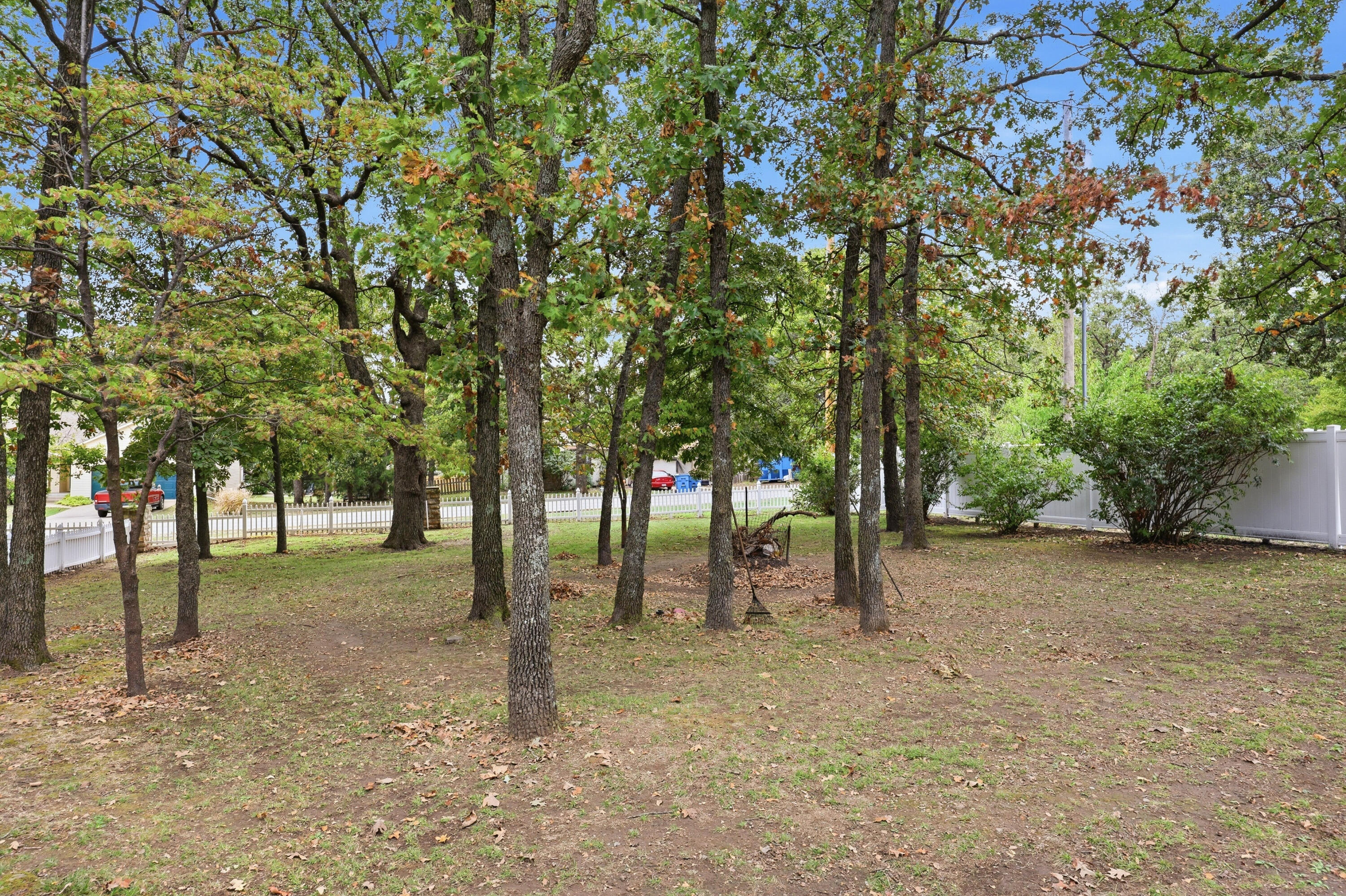 101 Iron Tree Drive Property Photo 10