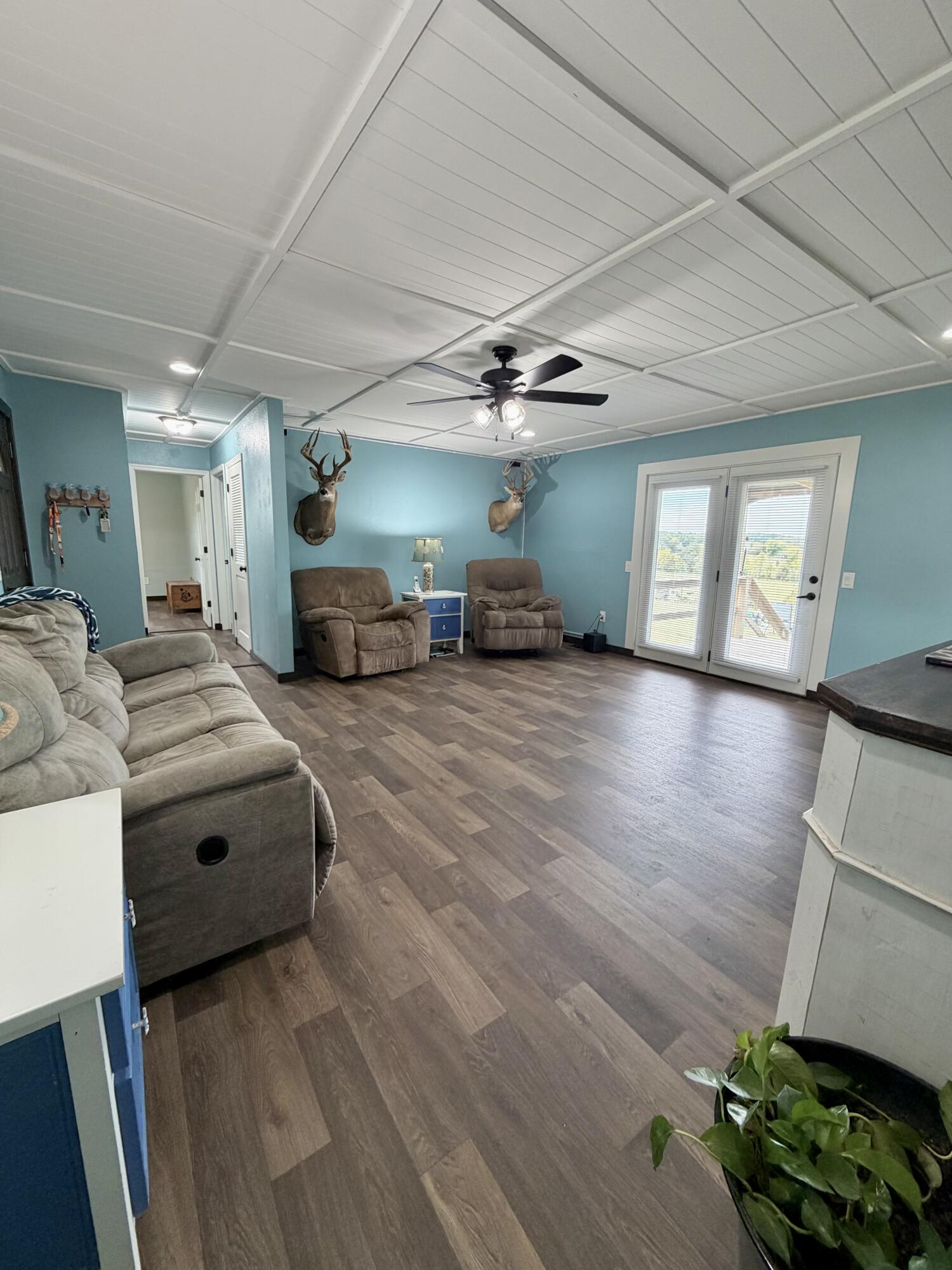 359 County Road 262 Property Photo 6