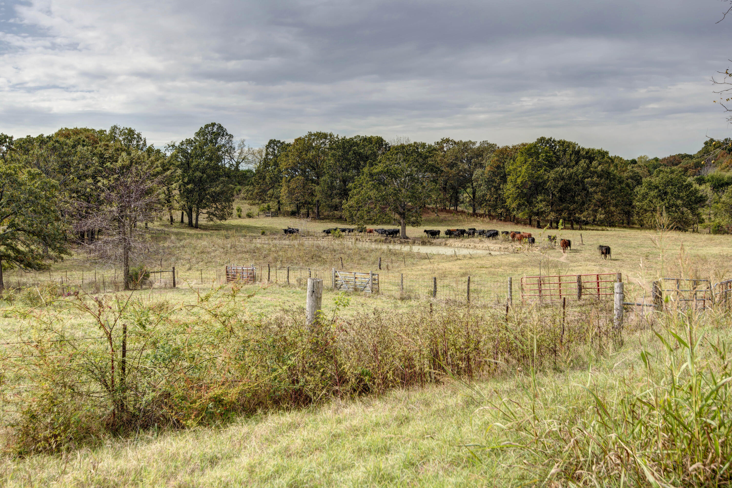 4790 East State Highway Cc Property Photo 36