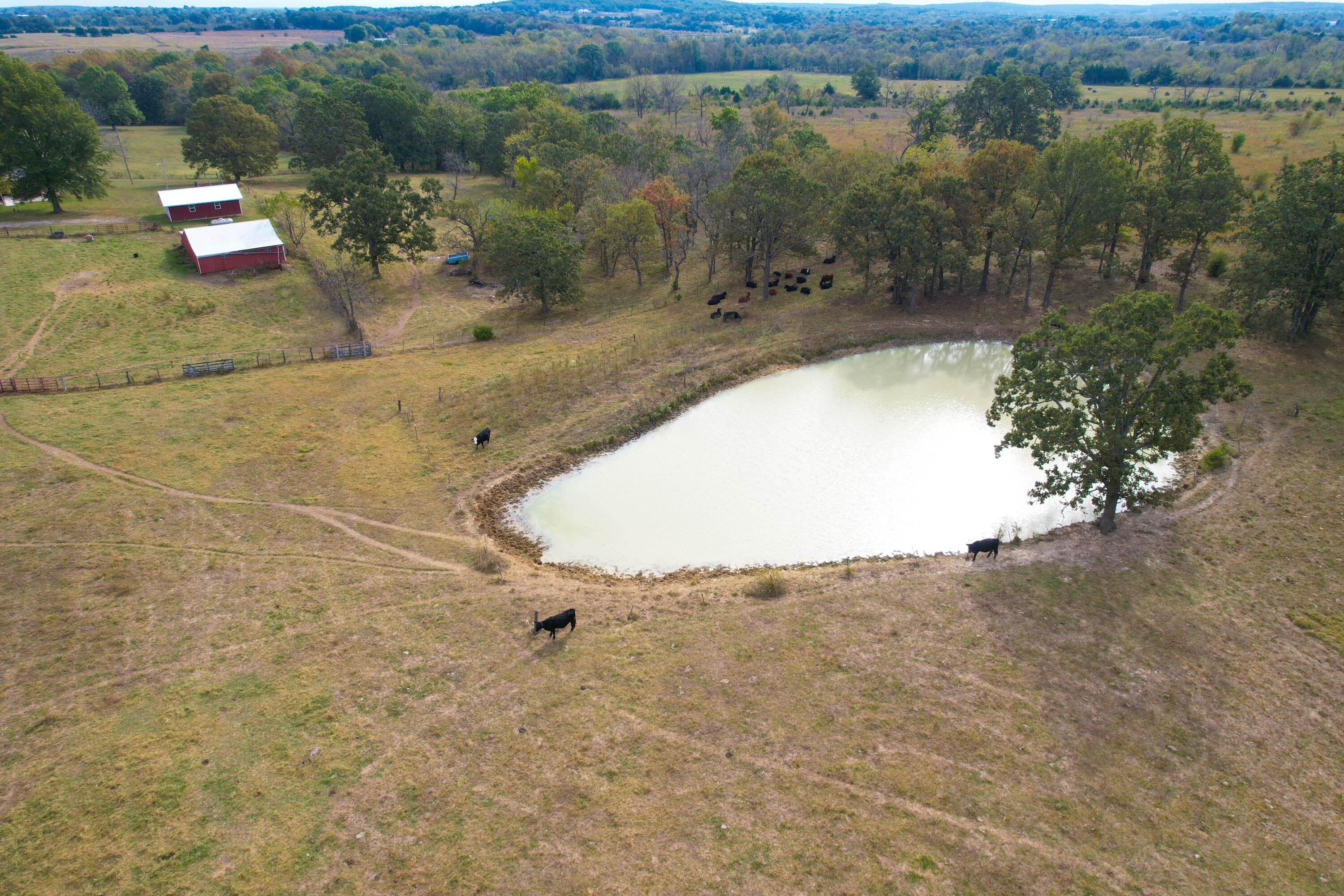 4790 East State Highway Cc Property Photo 37