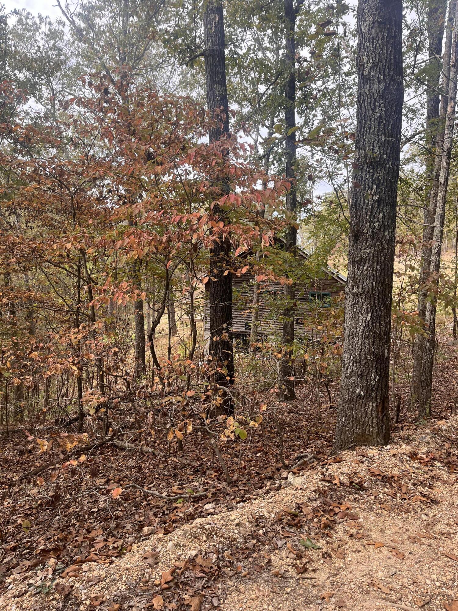 11355 County Road East 76-126 Property Photo 30