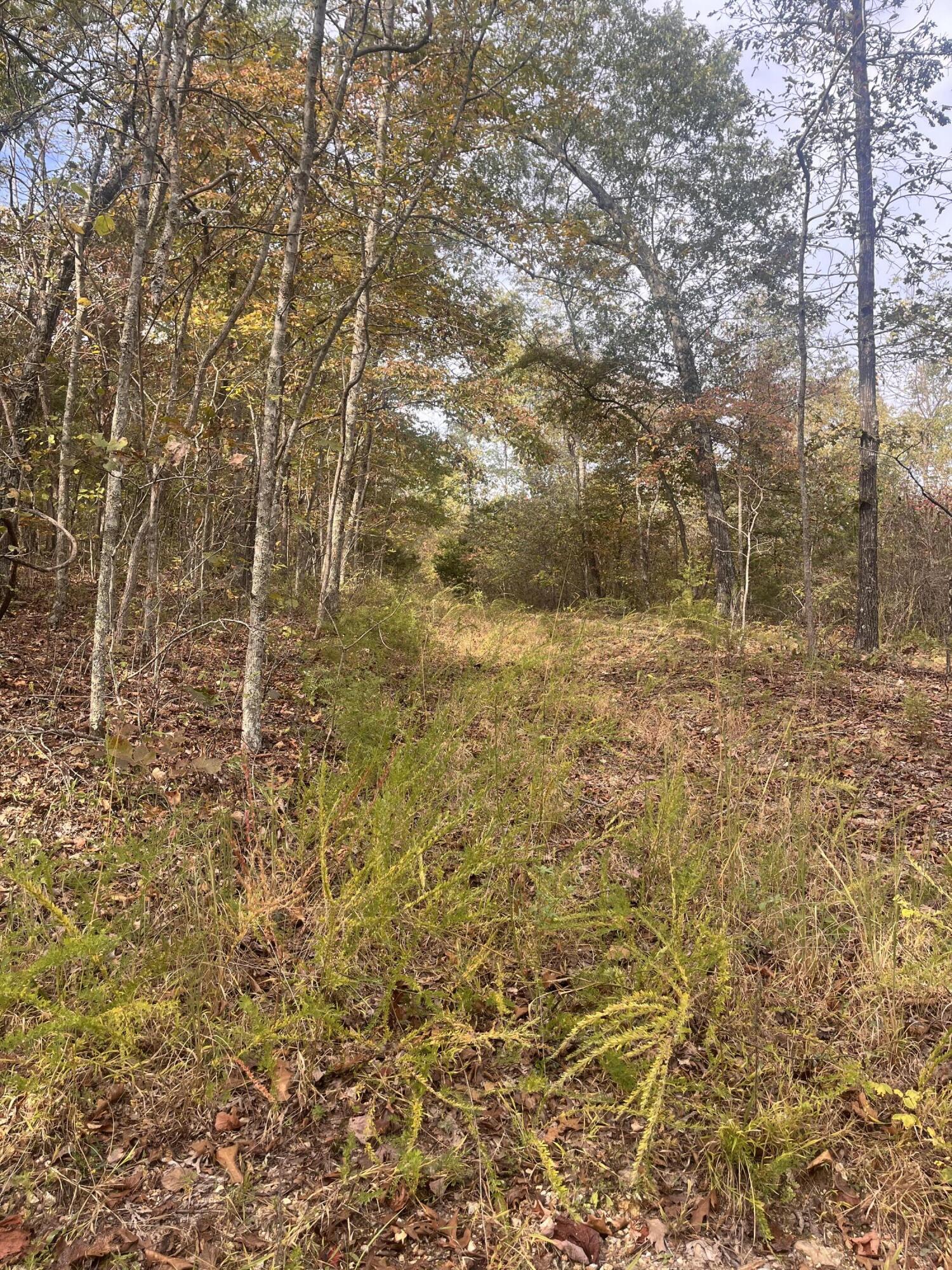 11355 County Road East 76-126 Property Photo 40