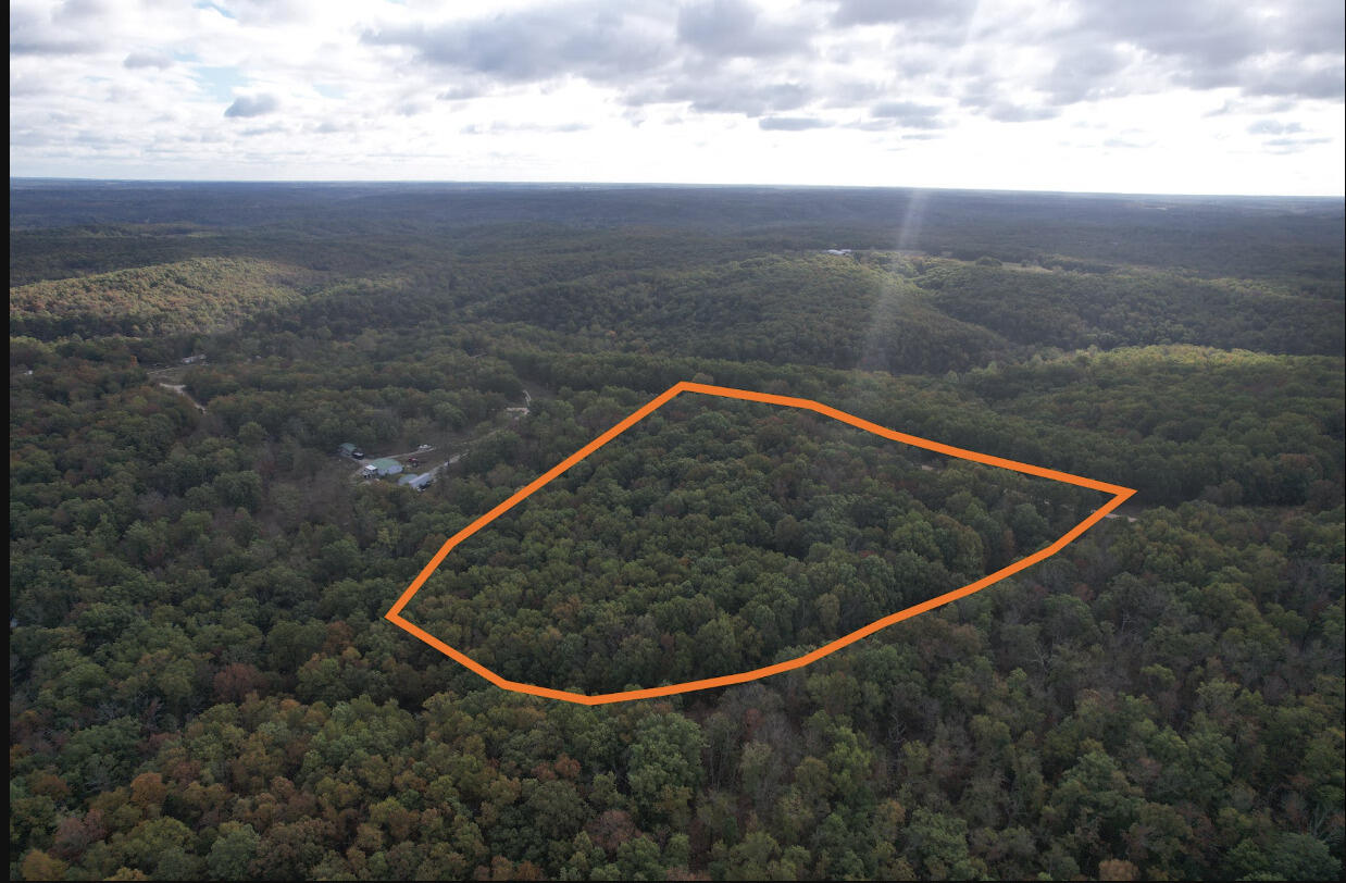 113 Ridge Trail Road Property Photo 3