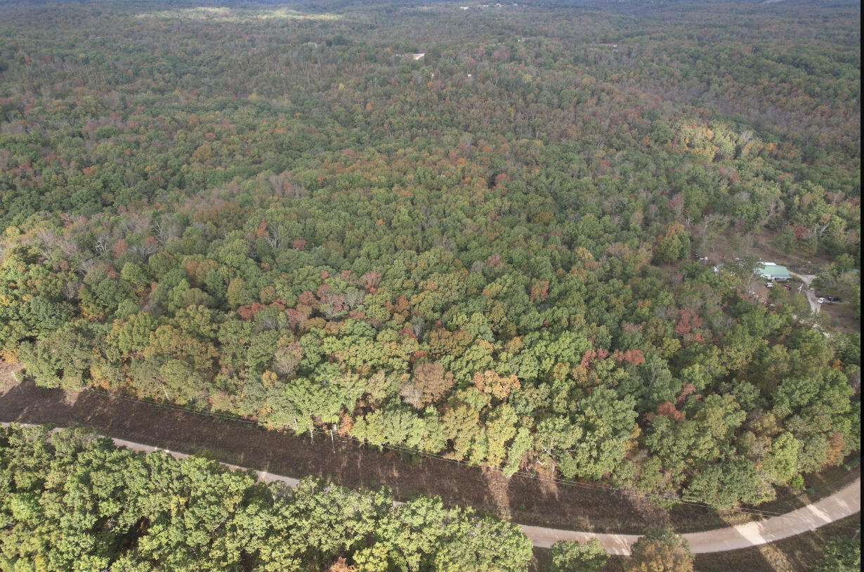 113 Ridge Trail Road Property Photo 7