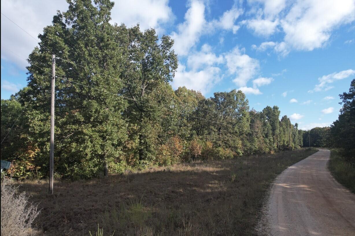 113 Ridge Trail Road Property Photo 10
