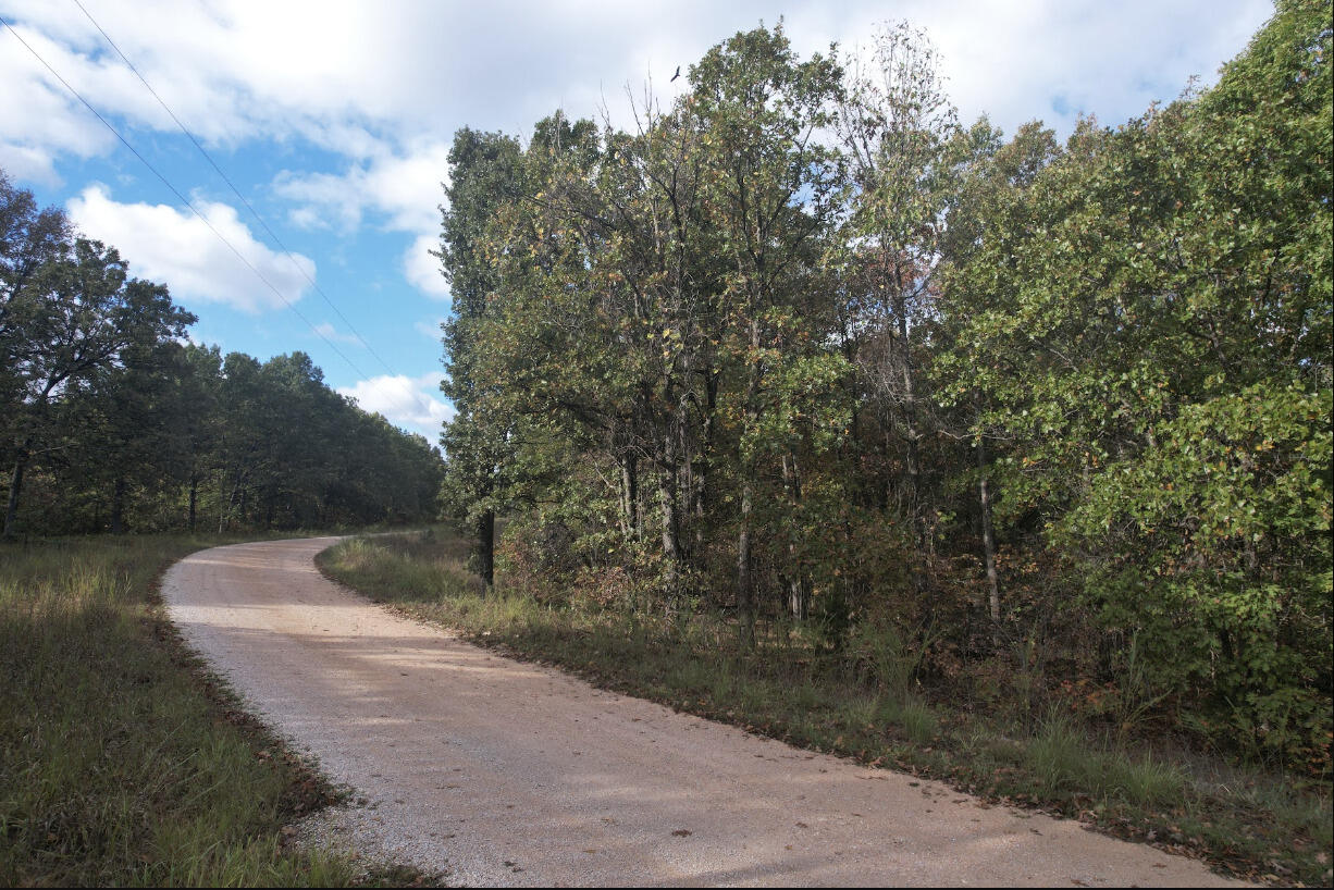 113 Ridge Trail Road Property Photo 11