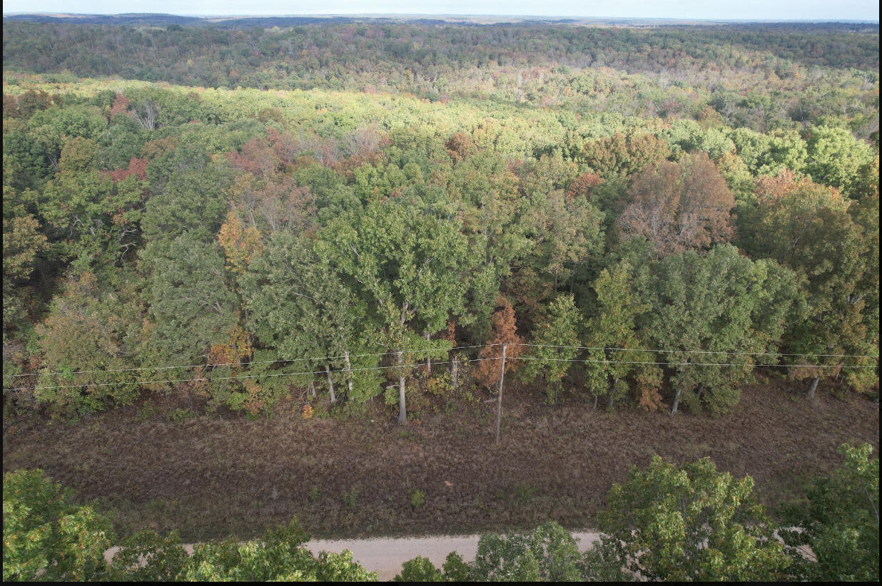 113 Ridge Trail Road Property Photo 14
