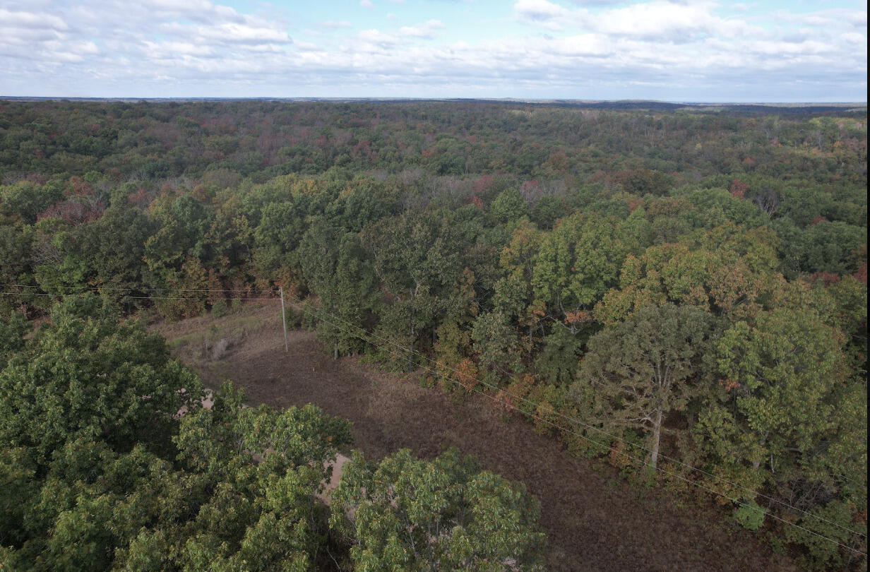 113 Ridge Trail Road Property Photo 15
