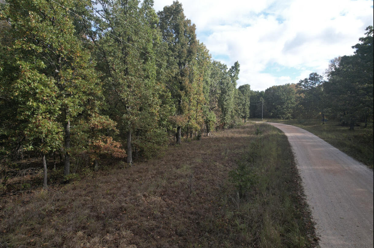 113 Ridge Trail Road Property Photo 16