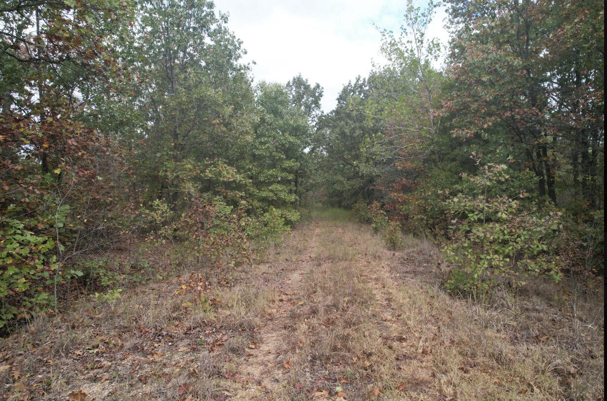 113 Ridge Trail Road Property Photo 17