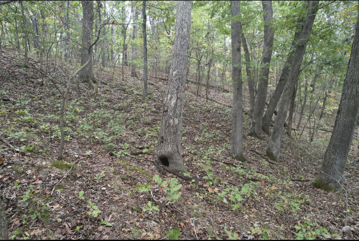 113 Ridge Trail Road Property Photo 19