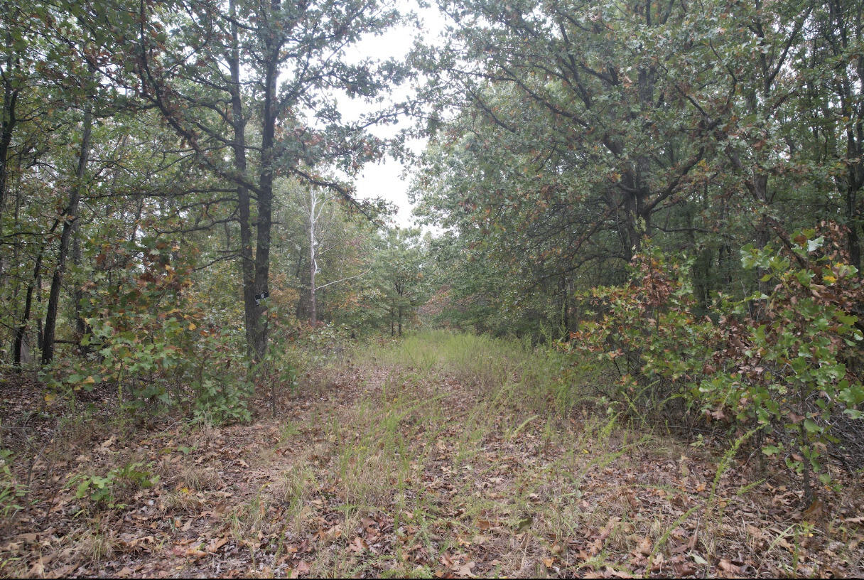 113 Ridge Trail Road Property Photo 20