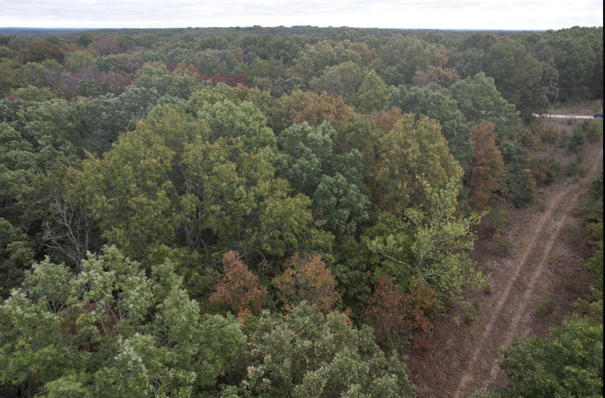 113 Ridge Trail Road Property Photo 21