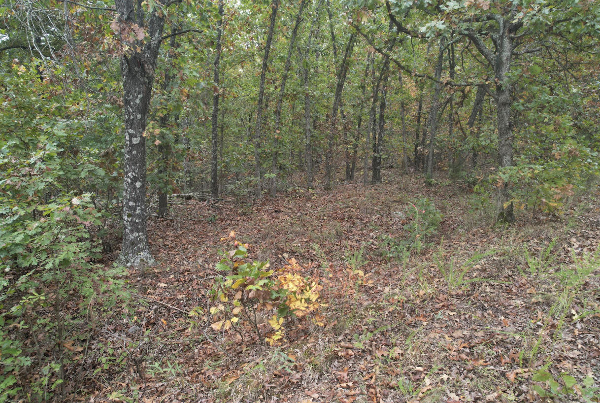 113 Ridge Trail Road Property Photo 22