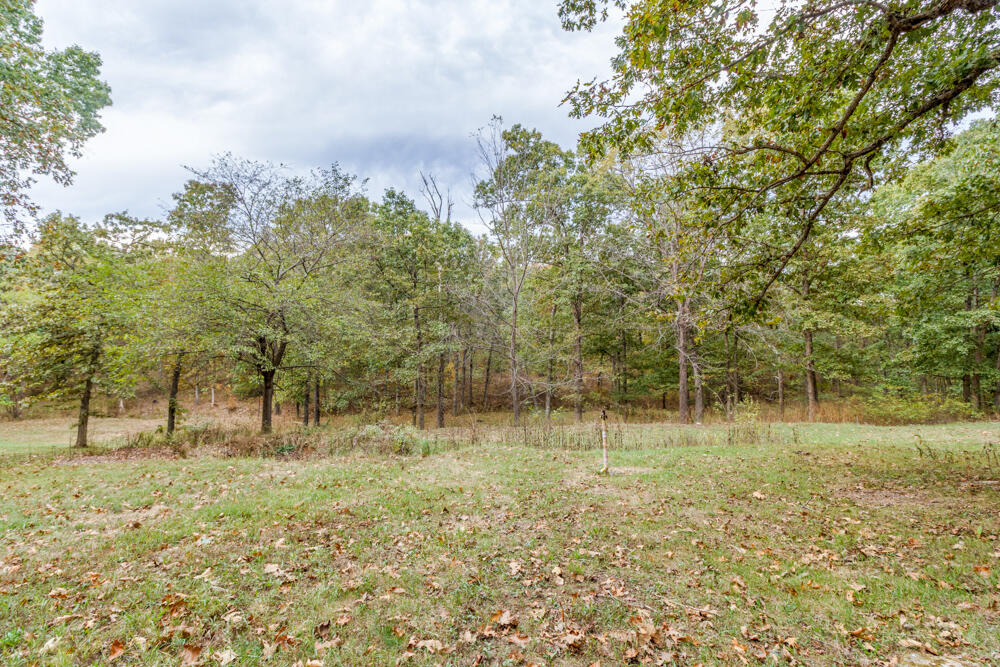 31000 Nodaway Drive Property Photo 23