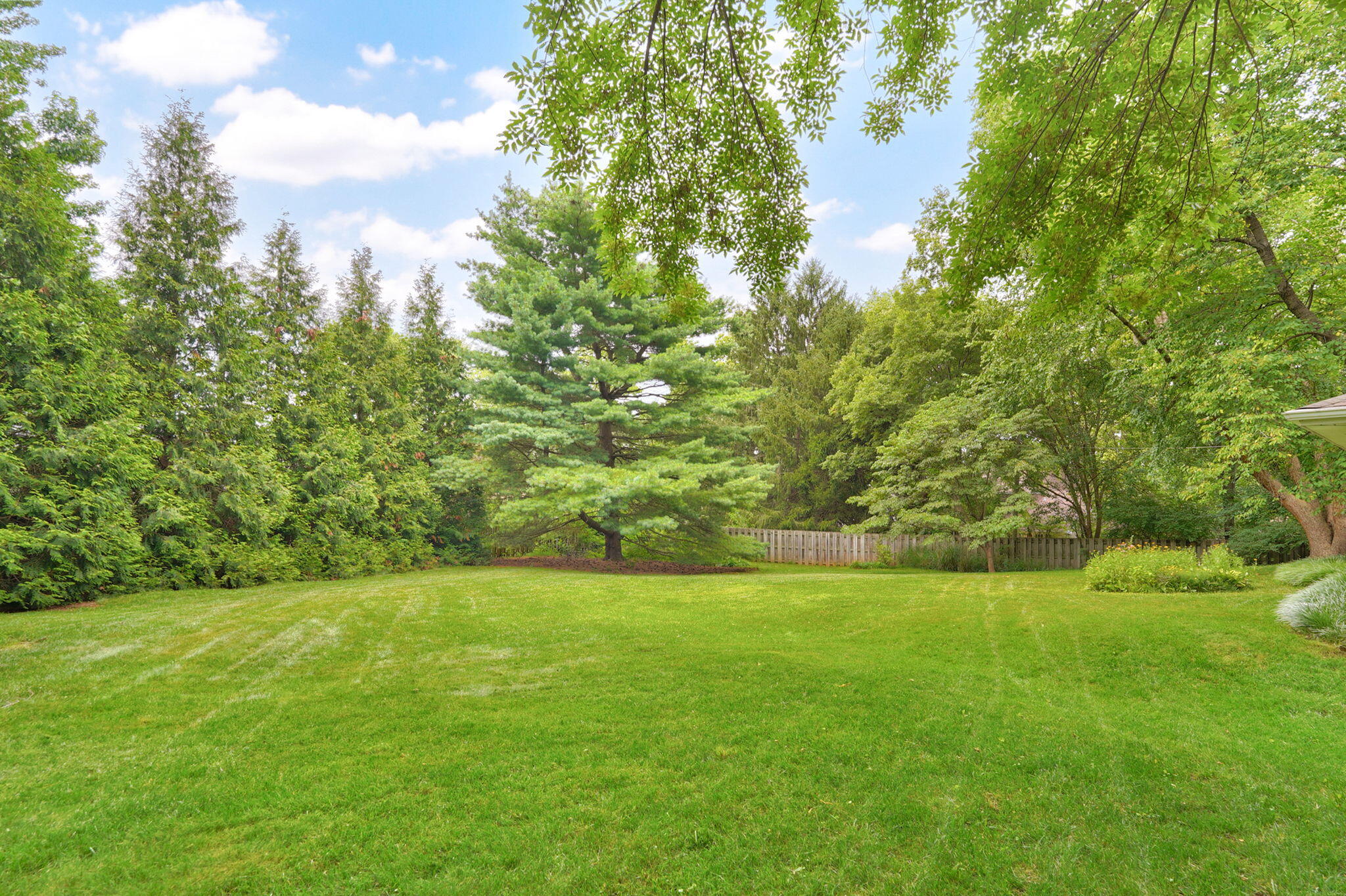 2435 East Michelle Place Property Photo 56