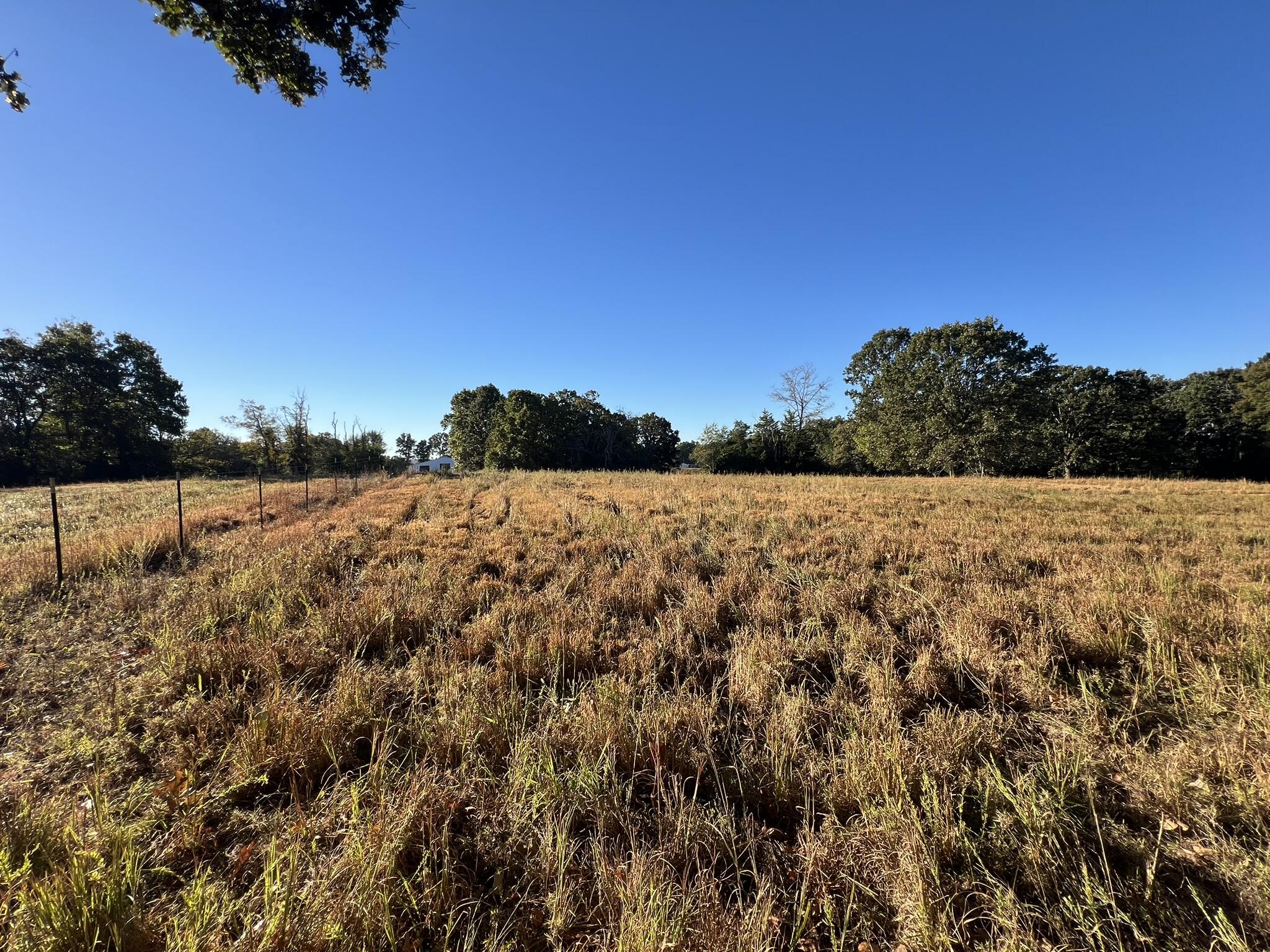 1107 Holloway Drive Property Photo 77