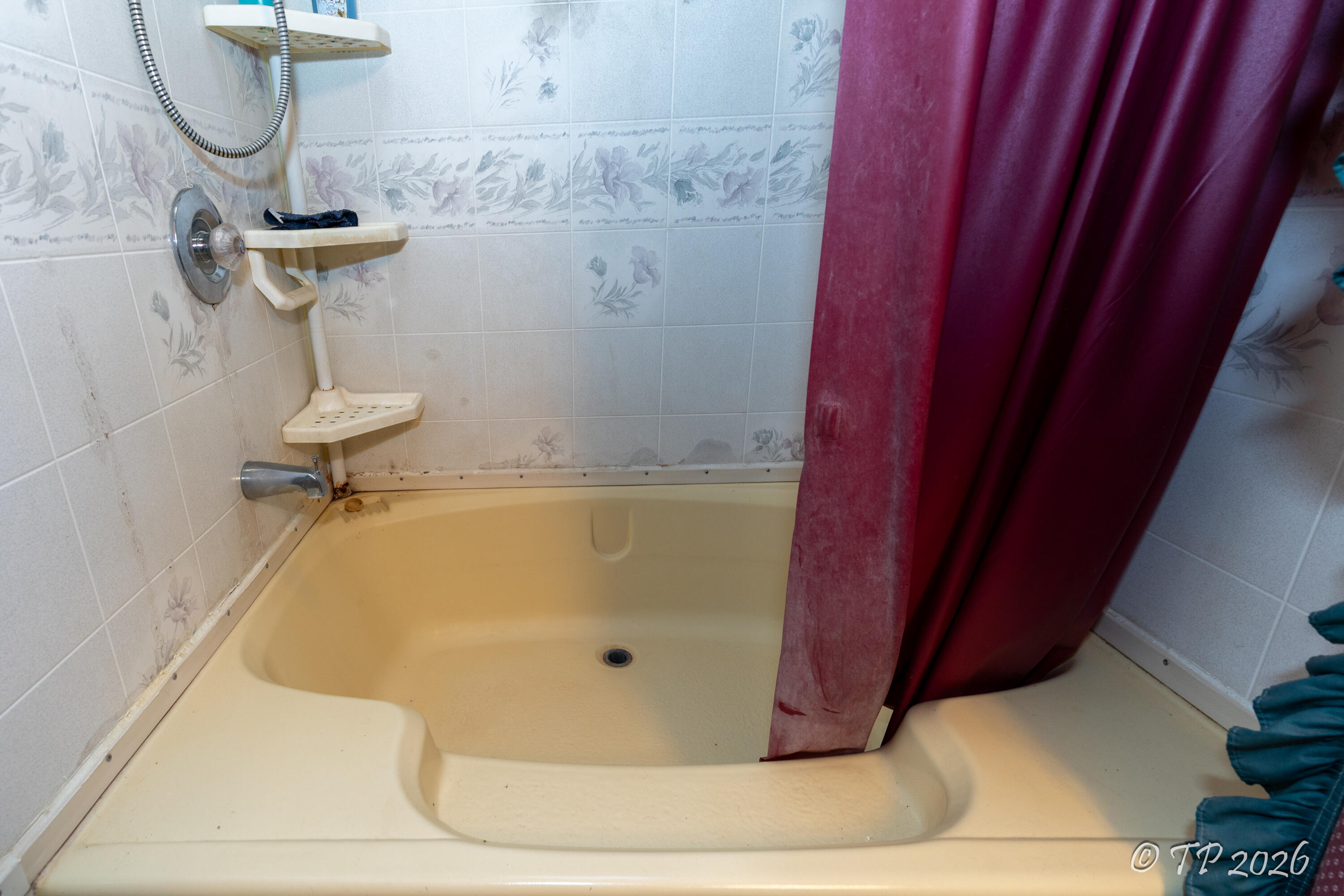 1752 Dd Highway Property Photo 15