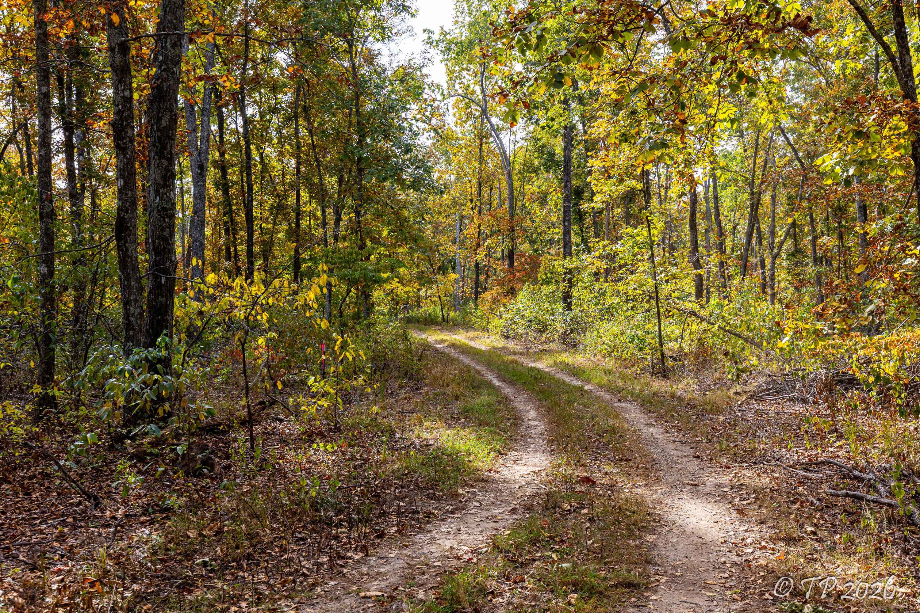 1752 Dd Highway Property Photo 40