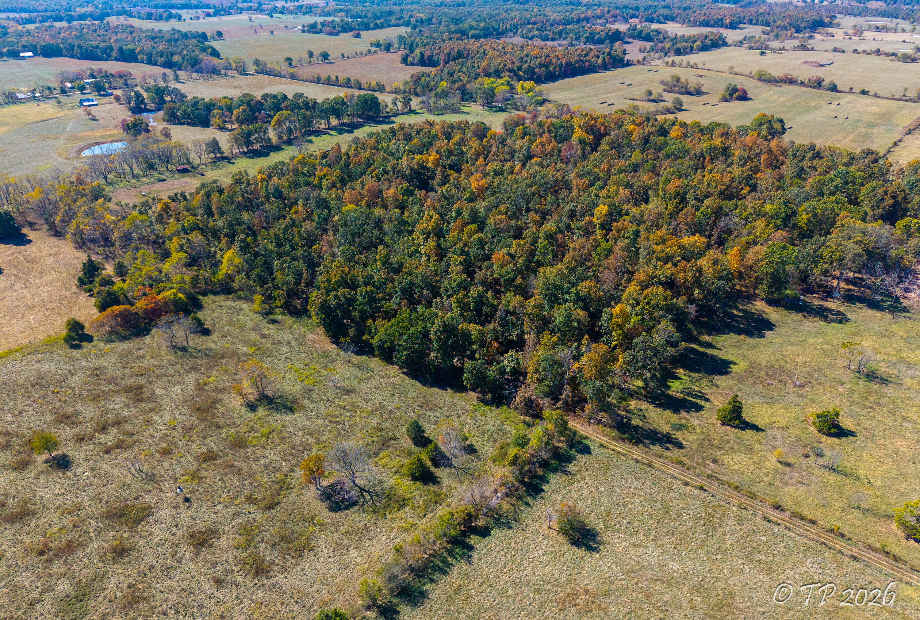 1752 Dd Highway Property Photo 41