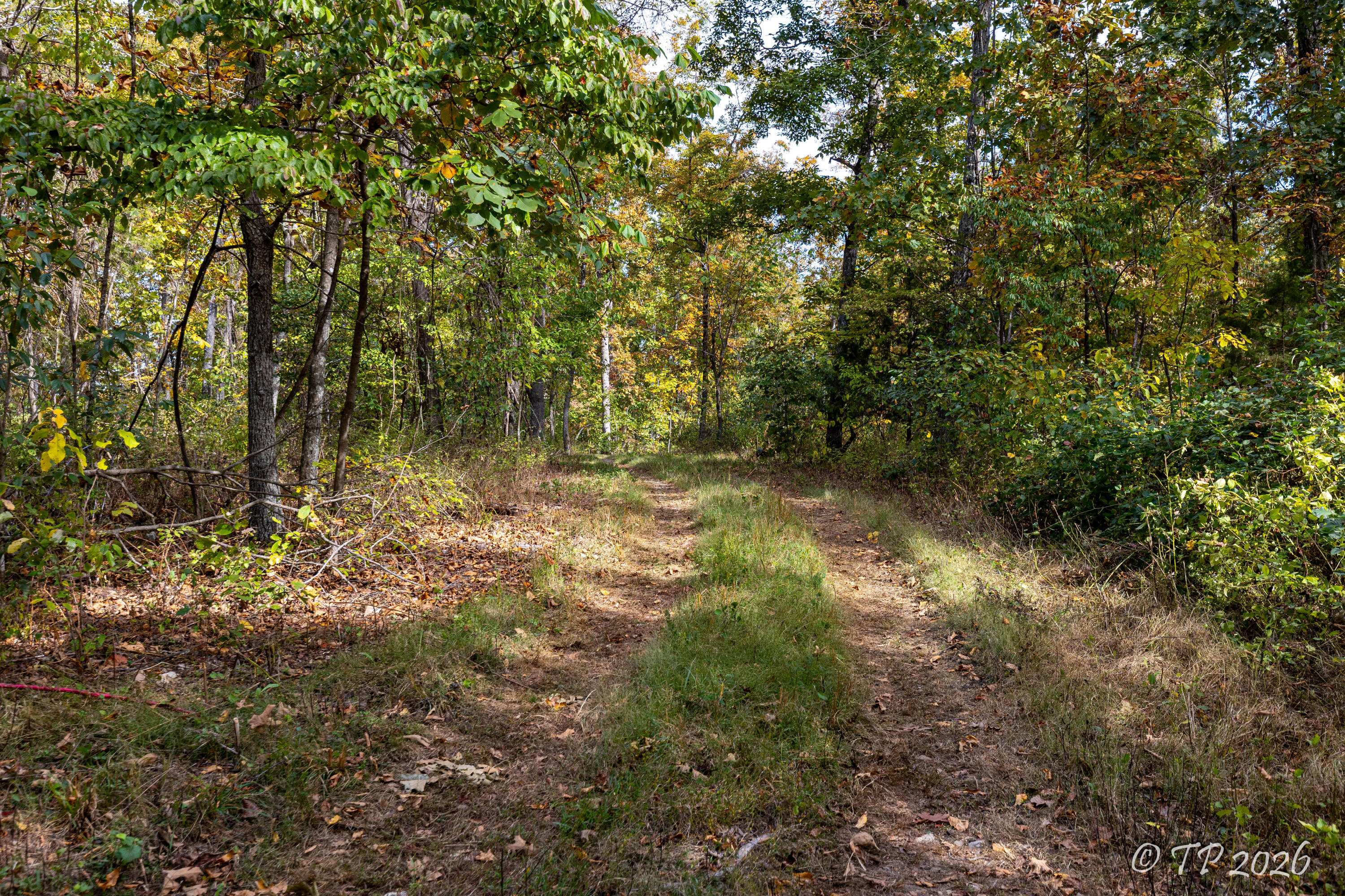 1752 Dd Highway Property Photo 51