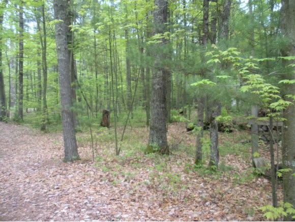 1175 &78 N Otter Ponds Tr Property Photo 1
