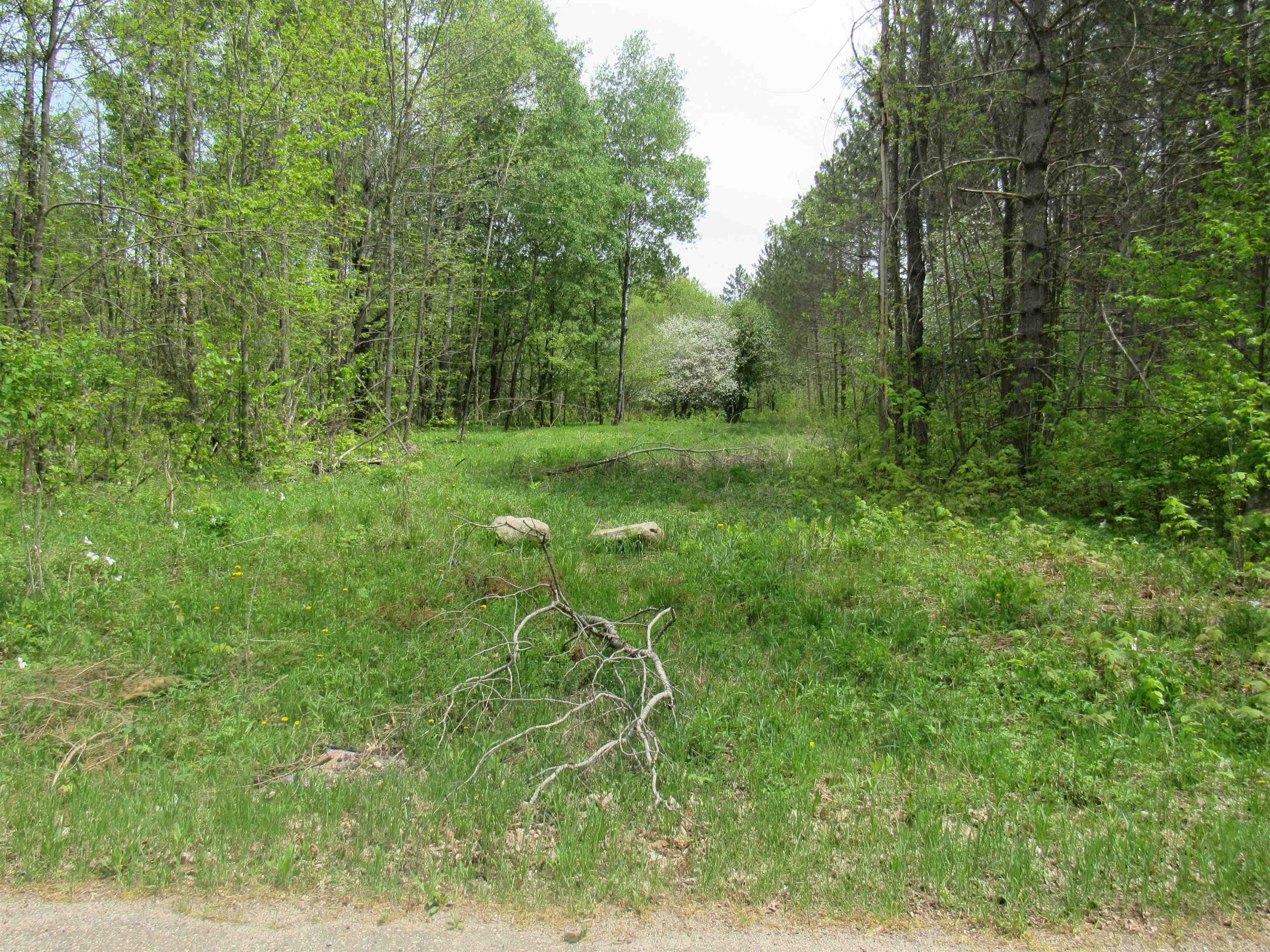 Trump Lake Road Property Photo 1