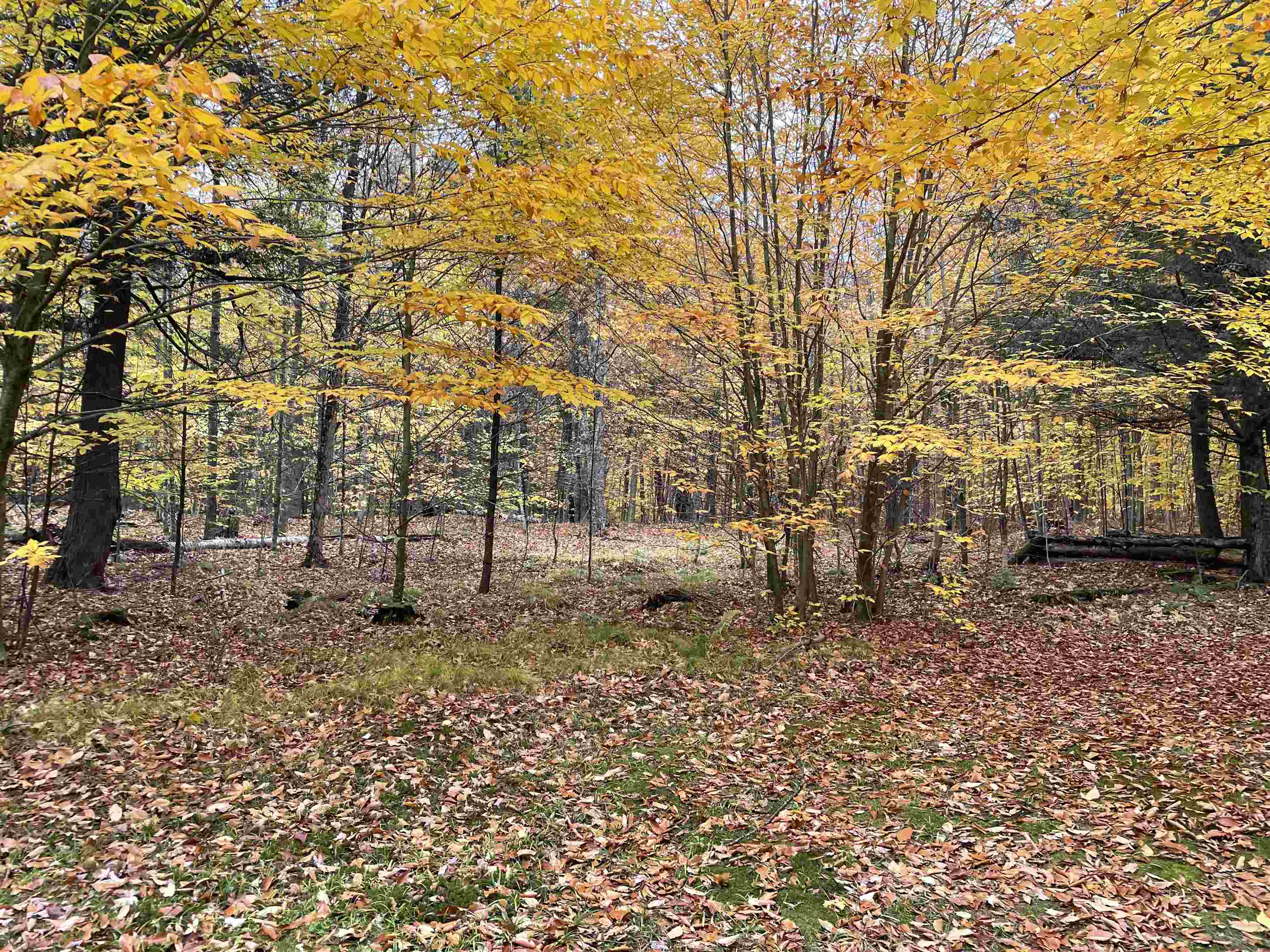 Old J Road Property Photo 1