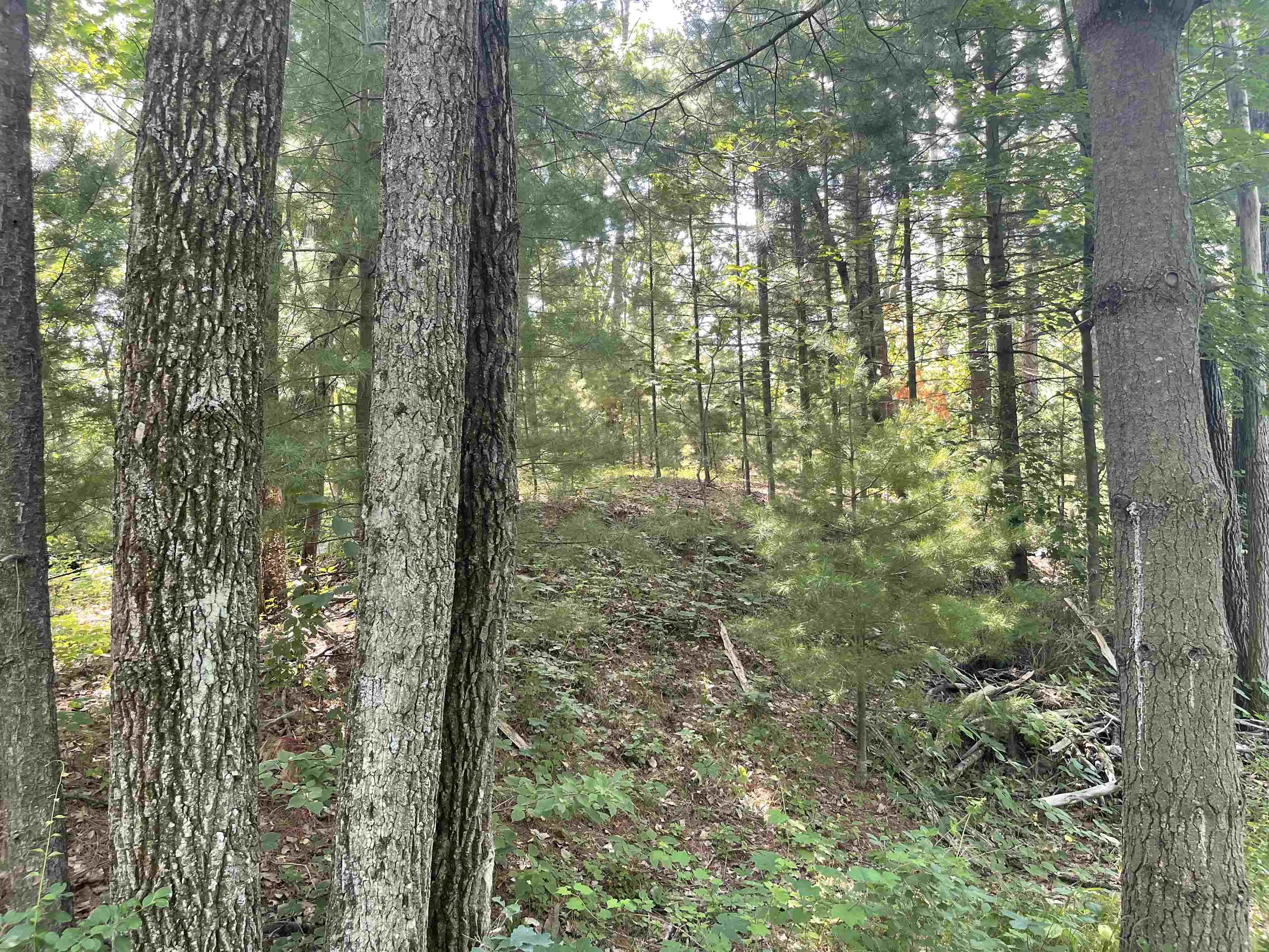 Evergreen Drive Property Photo 1