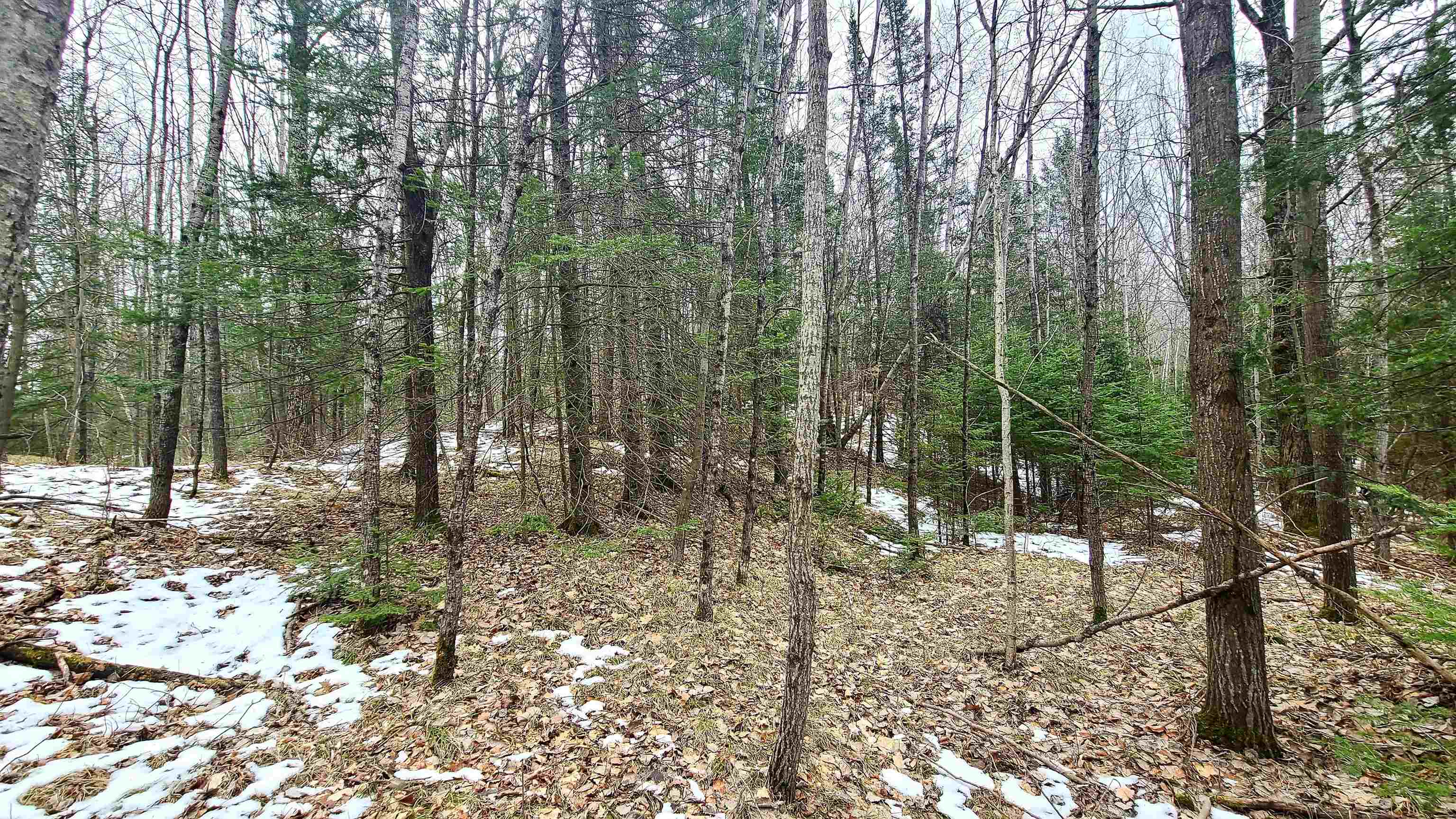 Cty Hwy T Property Photo 1