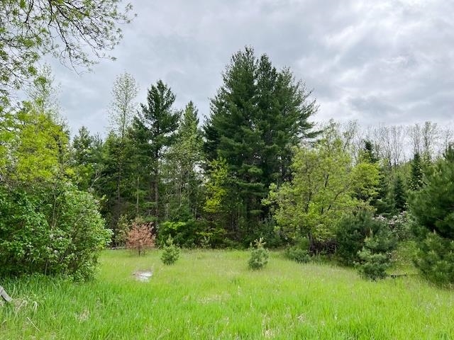 N17266 Cole School Road Property Photo 1
