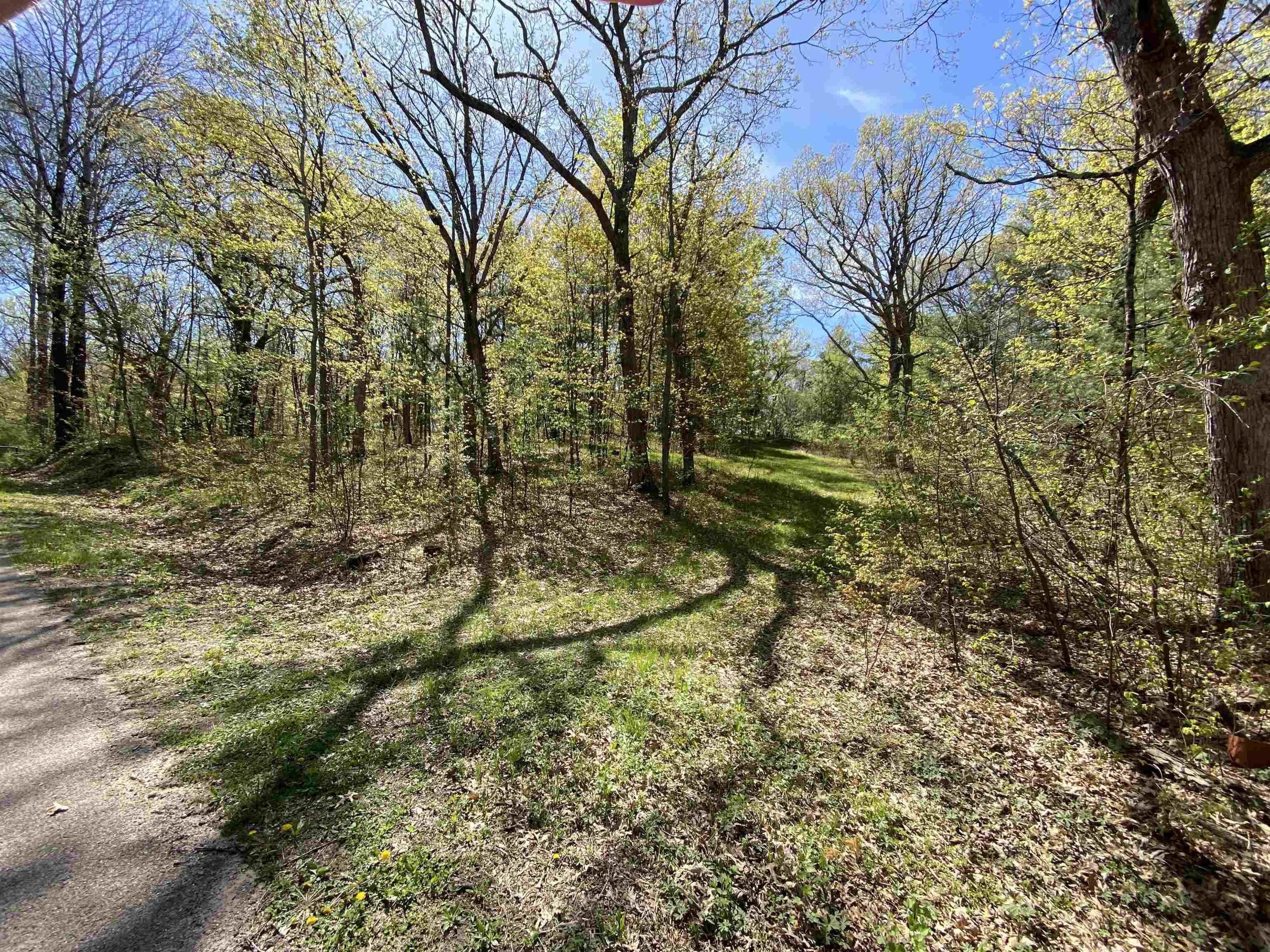 Czech Avenue Property Photo 1
