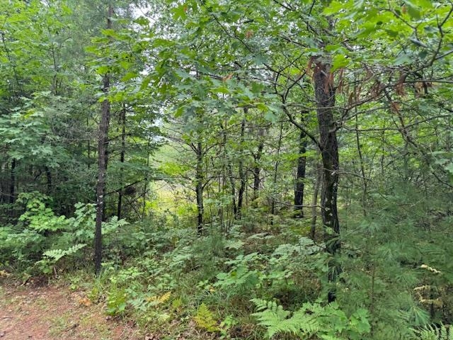 N17031 Sonnenberg Road Property Photo 1