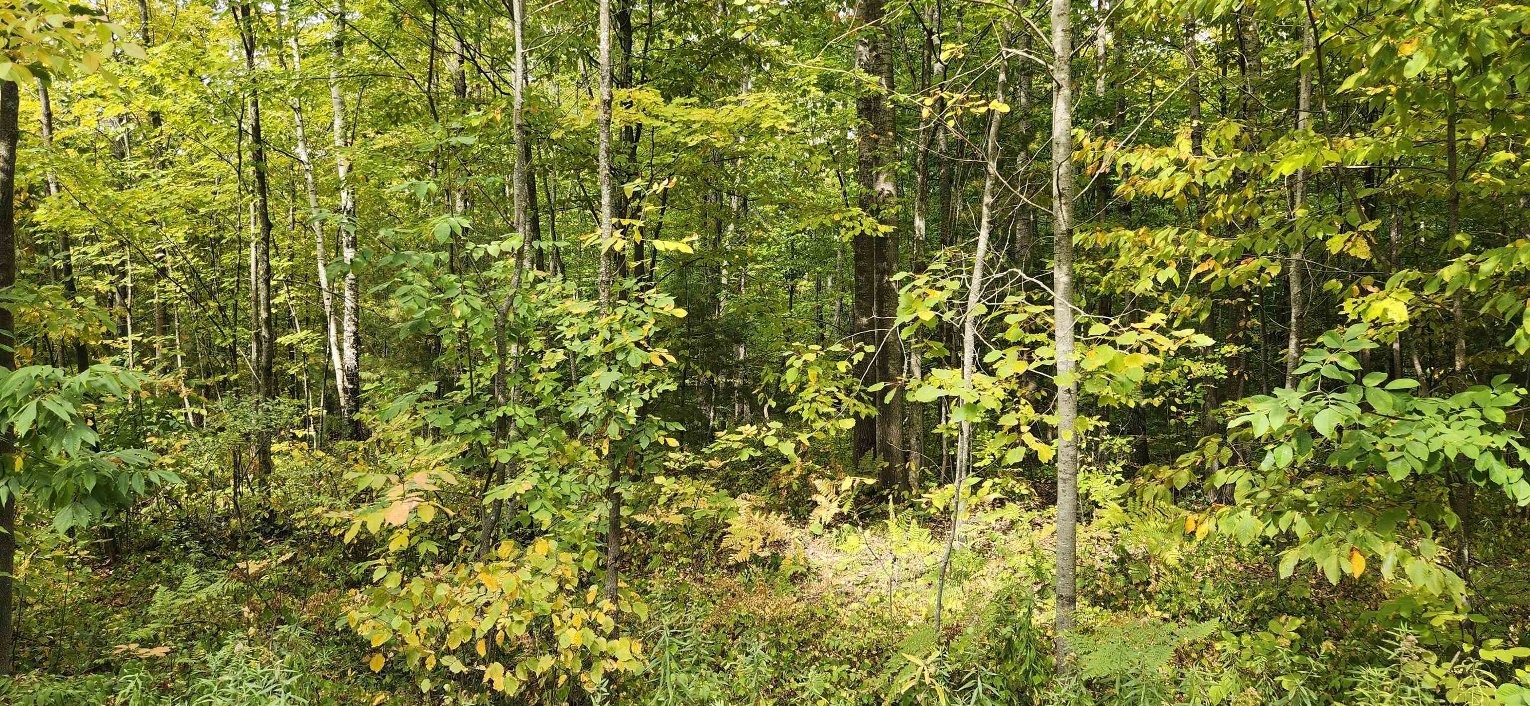 Hy Line Trail Property Photo 1