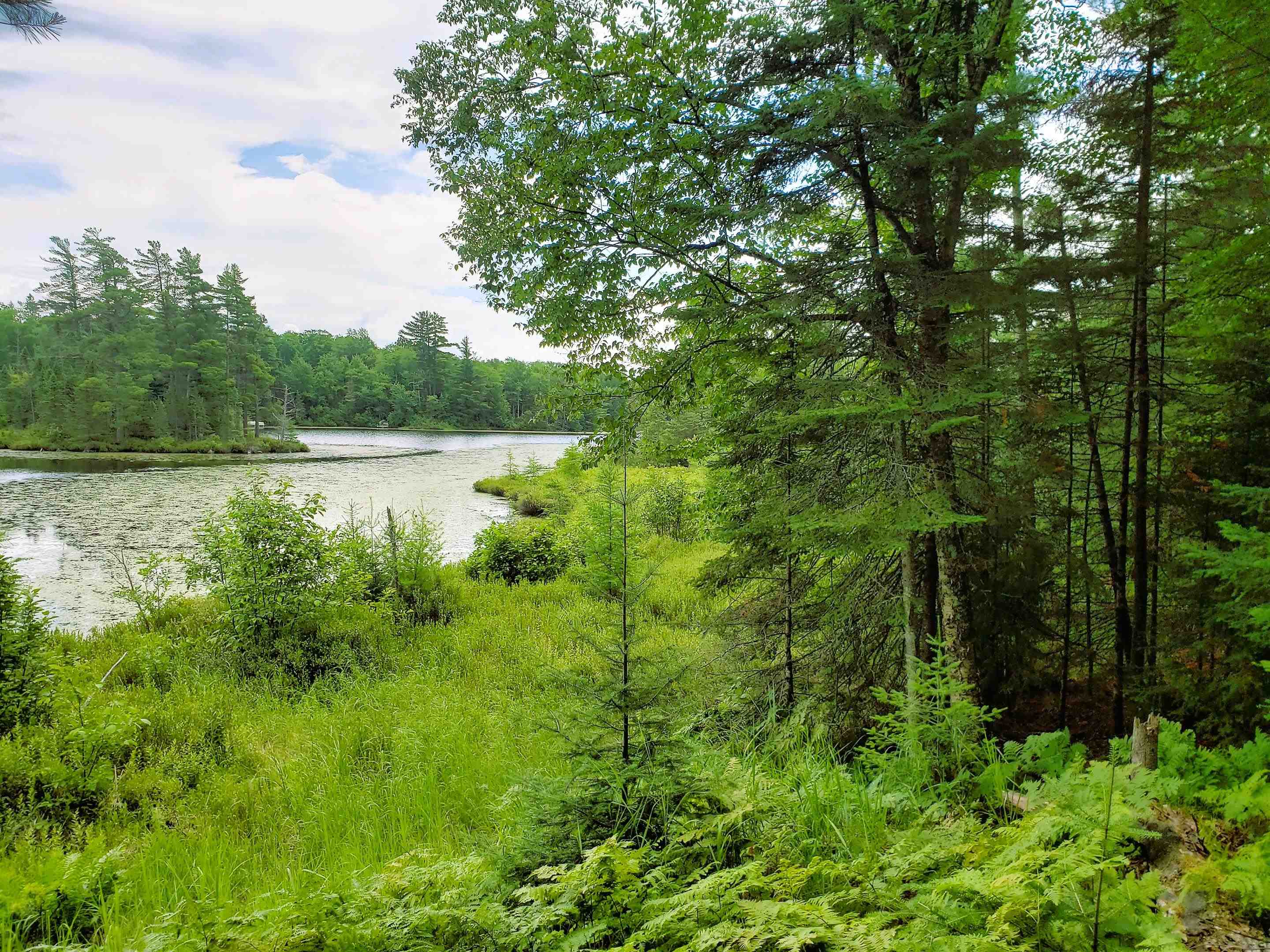 Blue Heron Ridge Road Property Photo 1