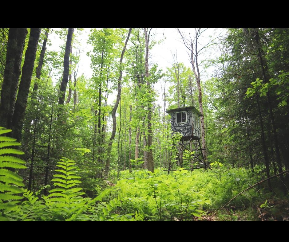 Westberg Road Property Photo 1