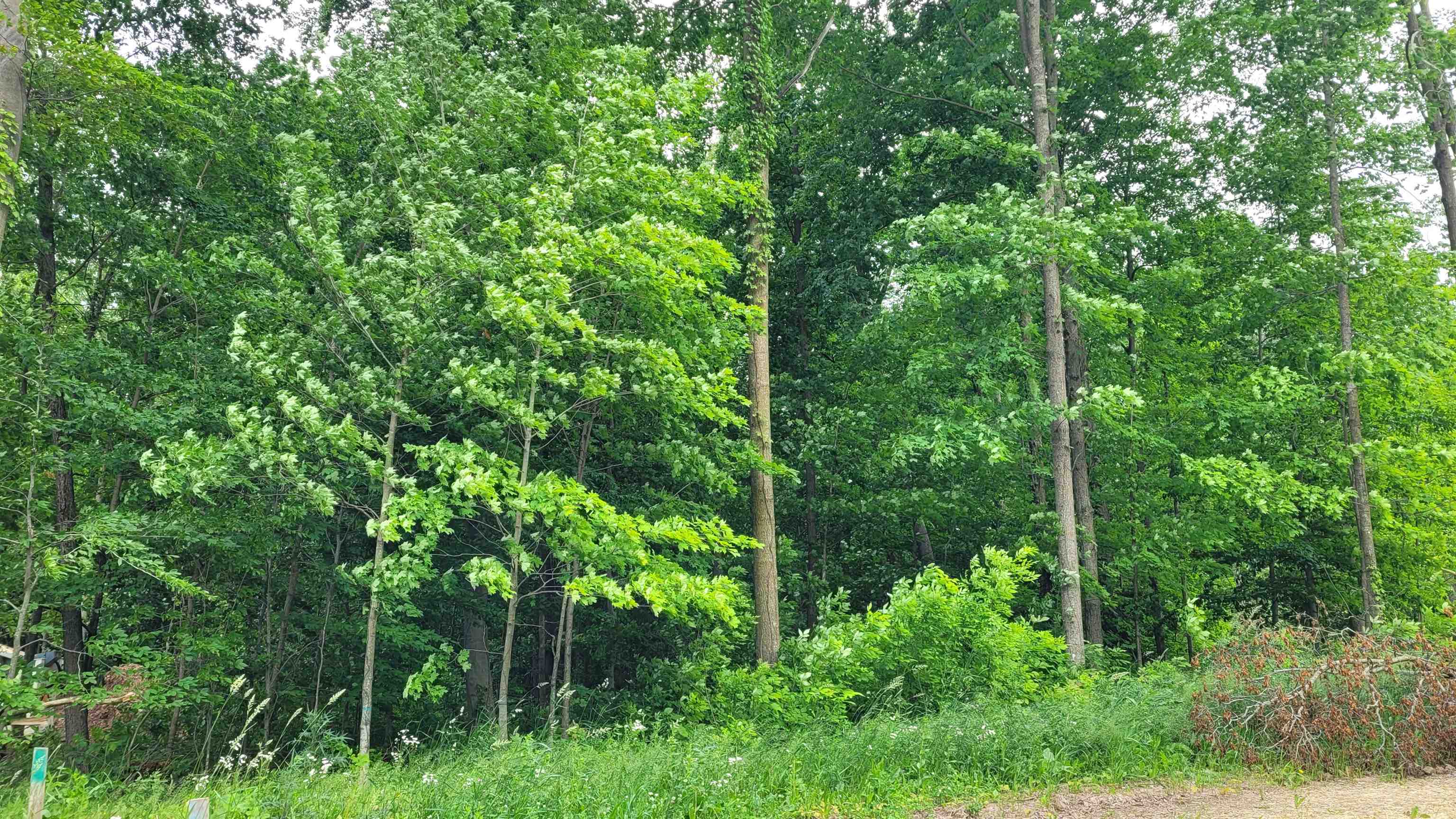 Husky Court Property Photo 1