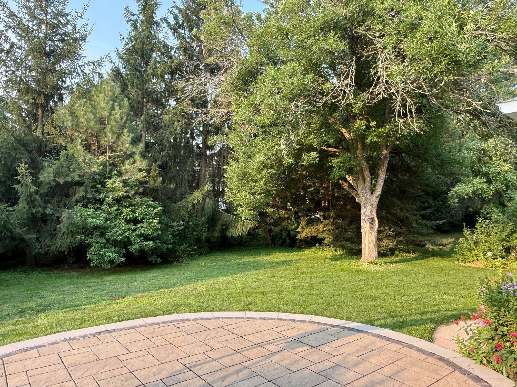309 E Evergreen Drive Property Photo 40