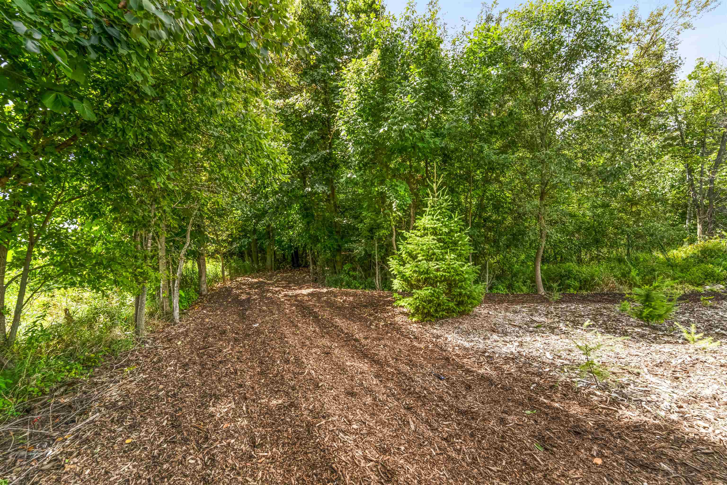 N1100 Wood Lane Property Photo 47