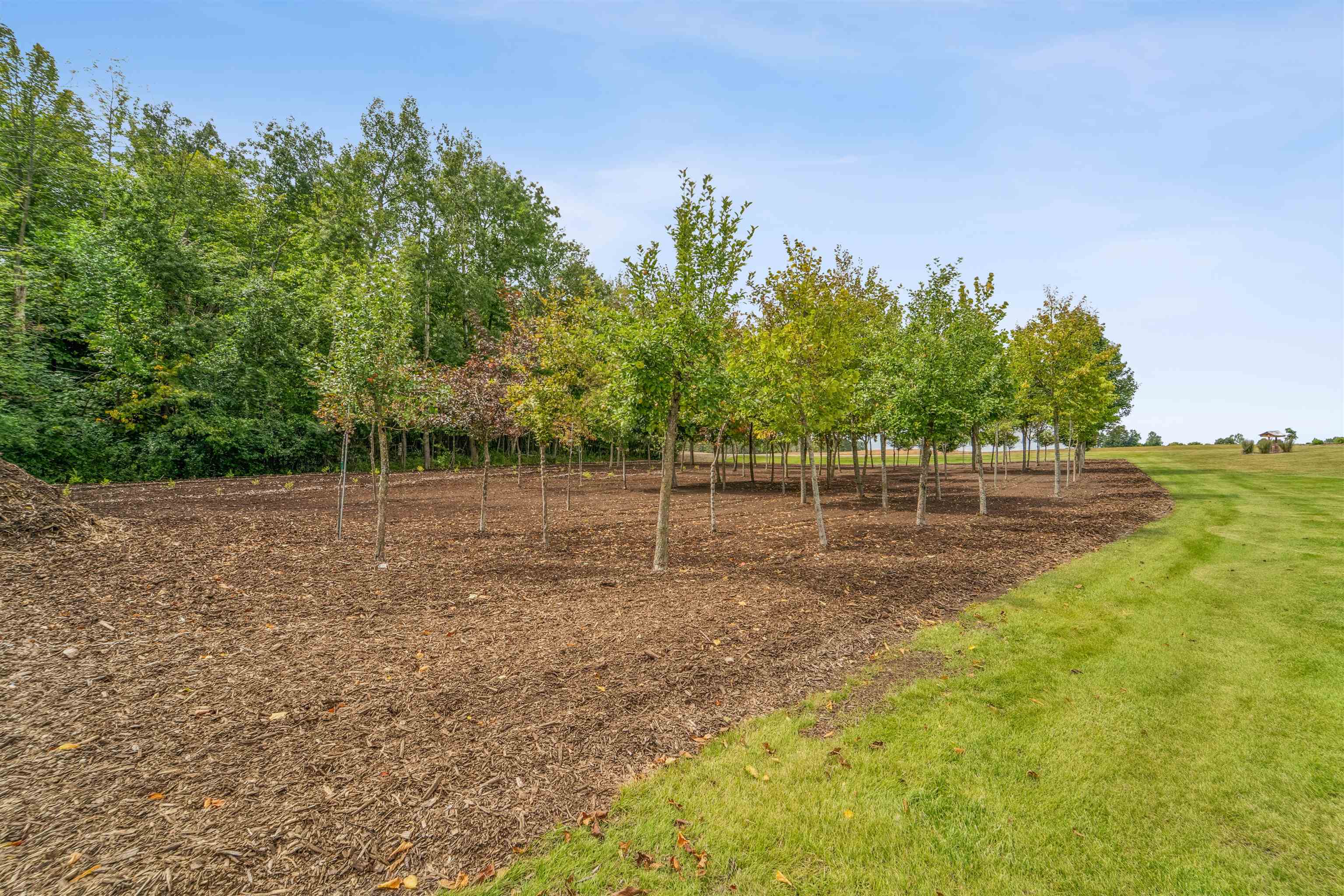 N1100 Wood Lane Property Photo 65