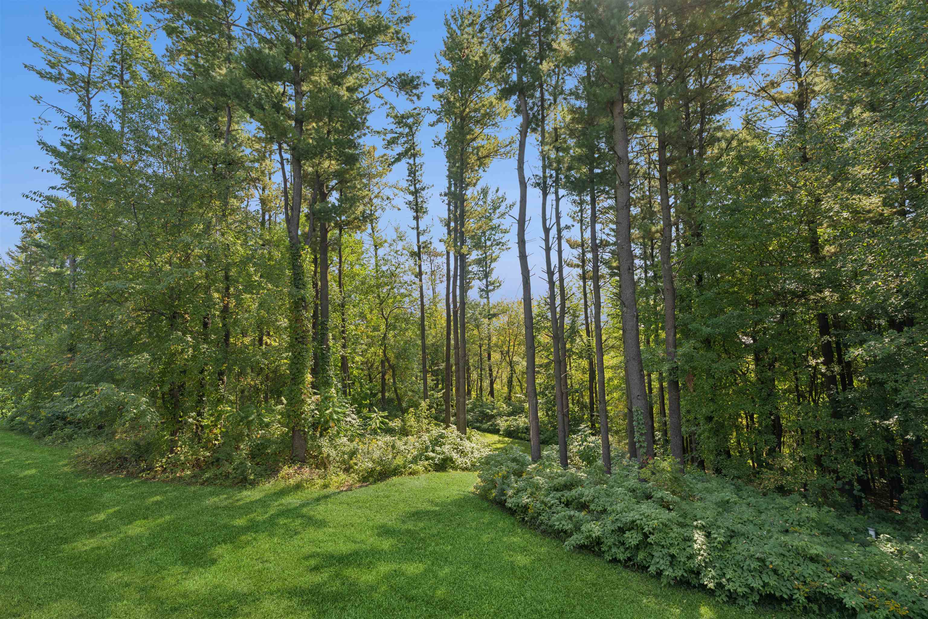 W3077 Mathison Road Property Photo 42