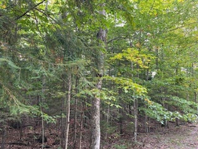 Fawn Lane Property Photo 1