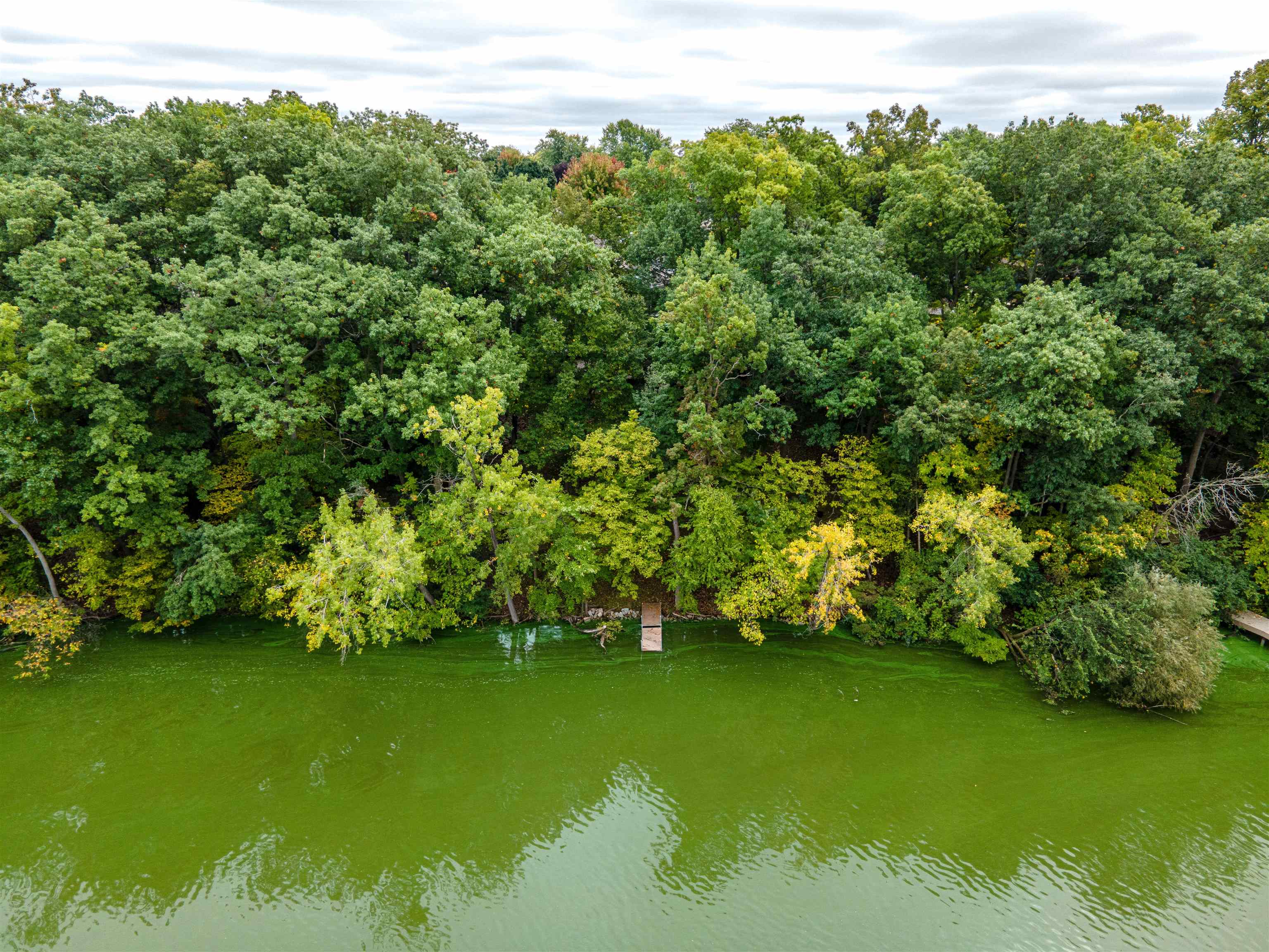 1331 N Briarcliff Drive Property Photo 58